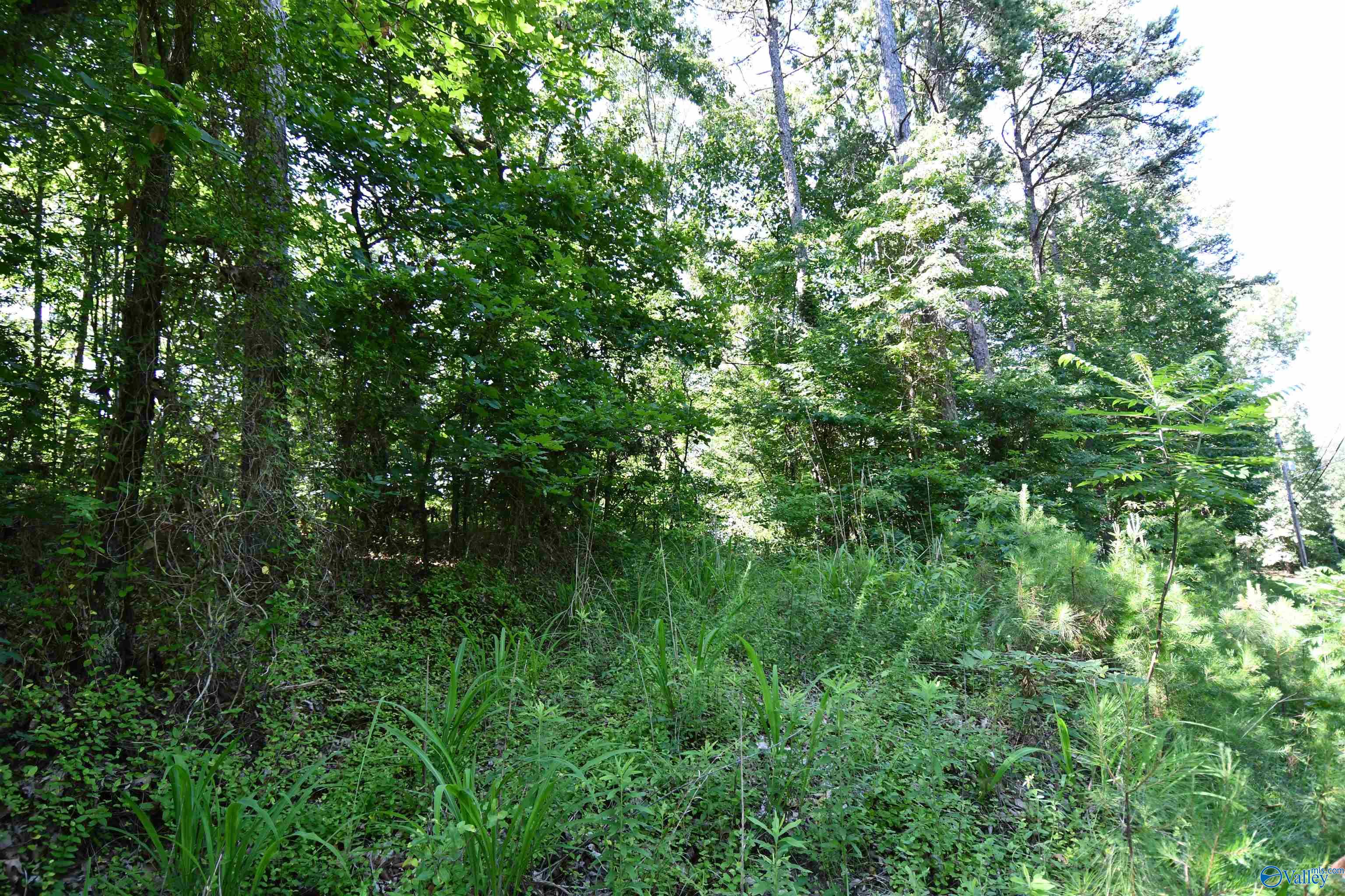 5.86 AC Scenic Drive