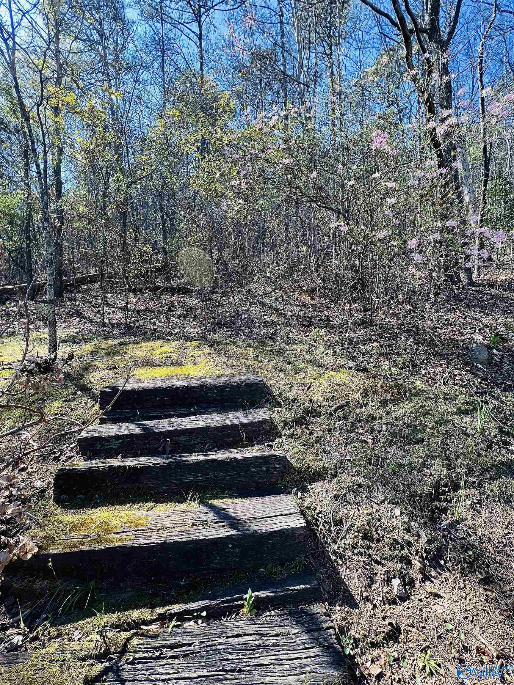 2605 Oak Village Drive