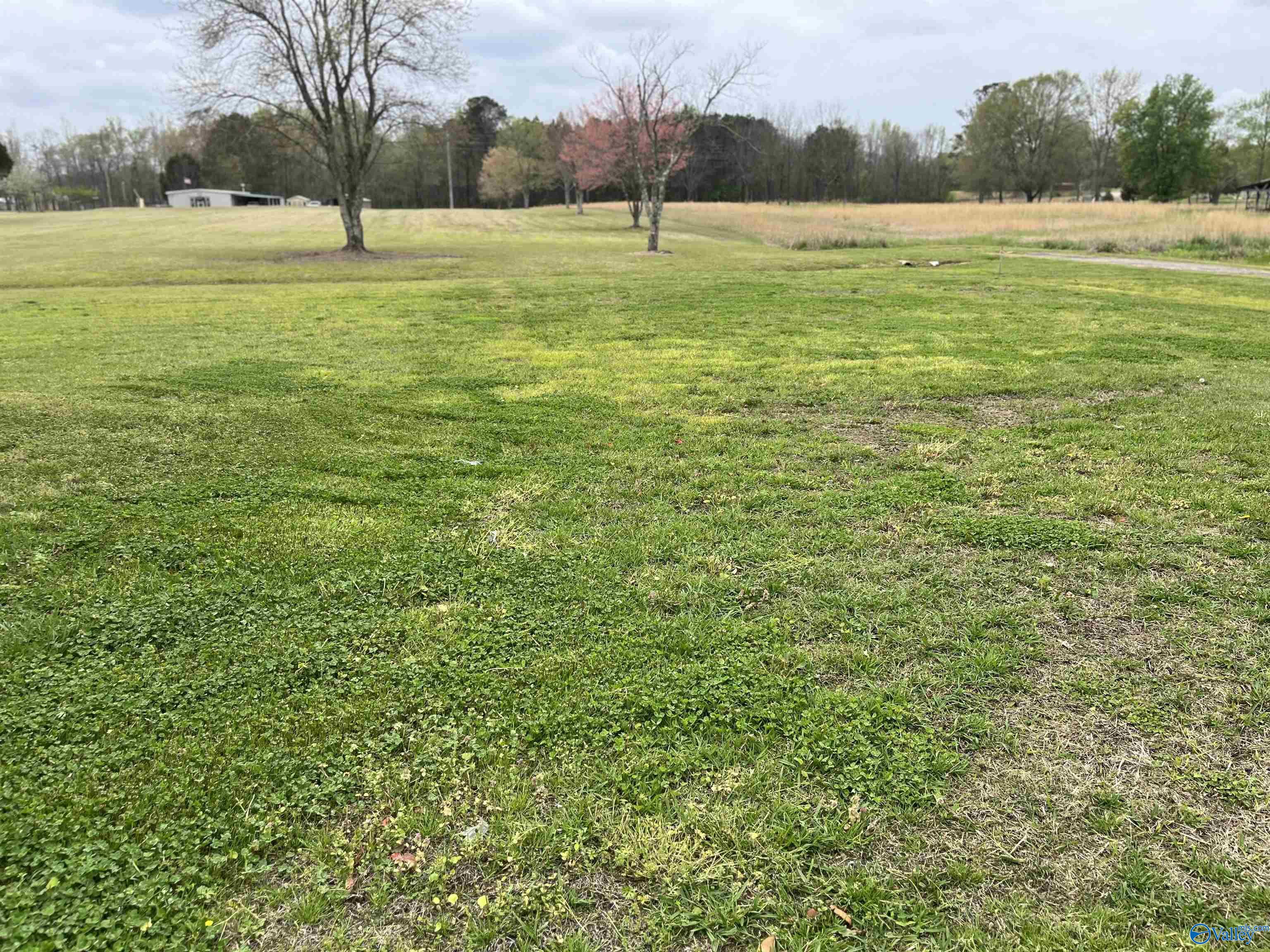 2921 Marguerite Street