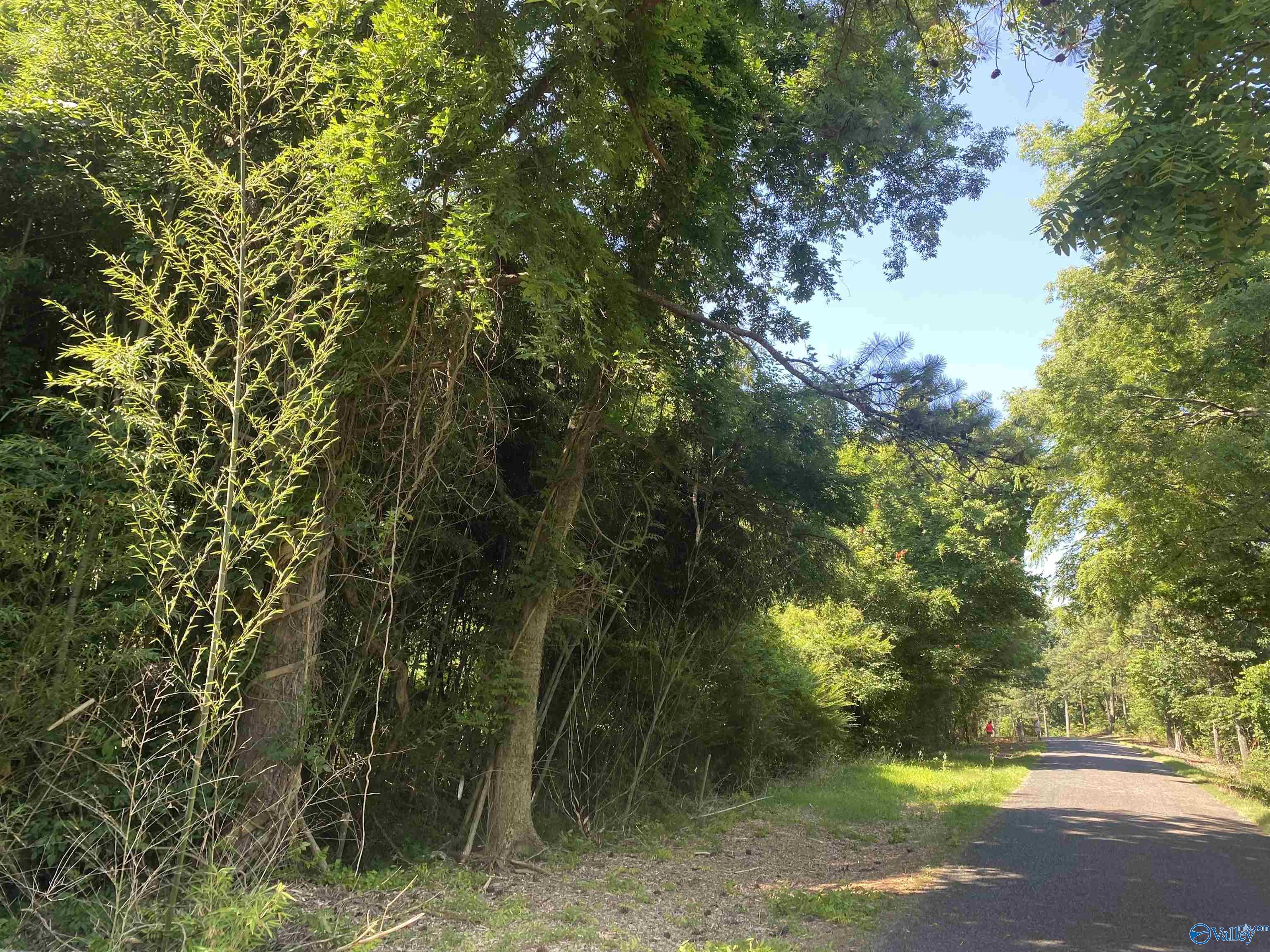 34 Acres Scenic Highway