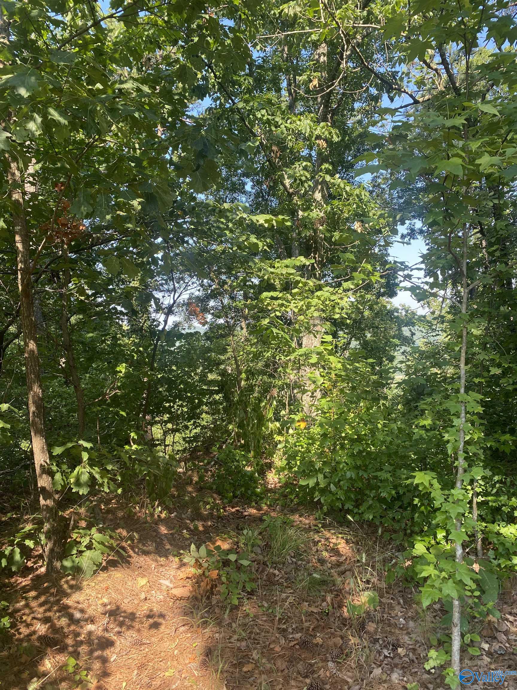 34 Acres Scenic Highway