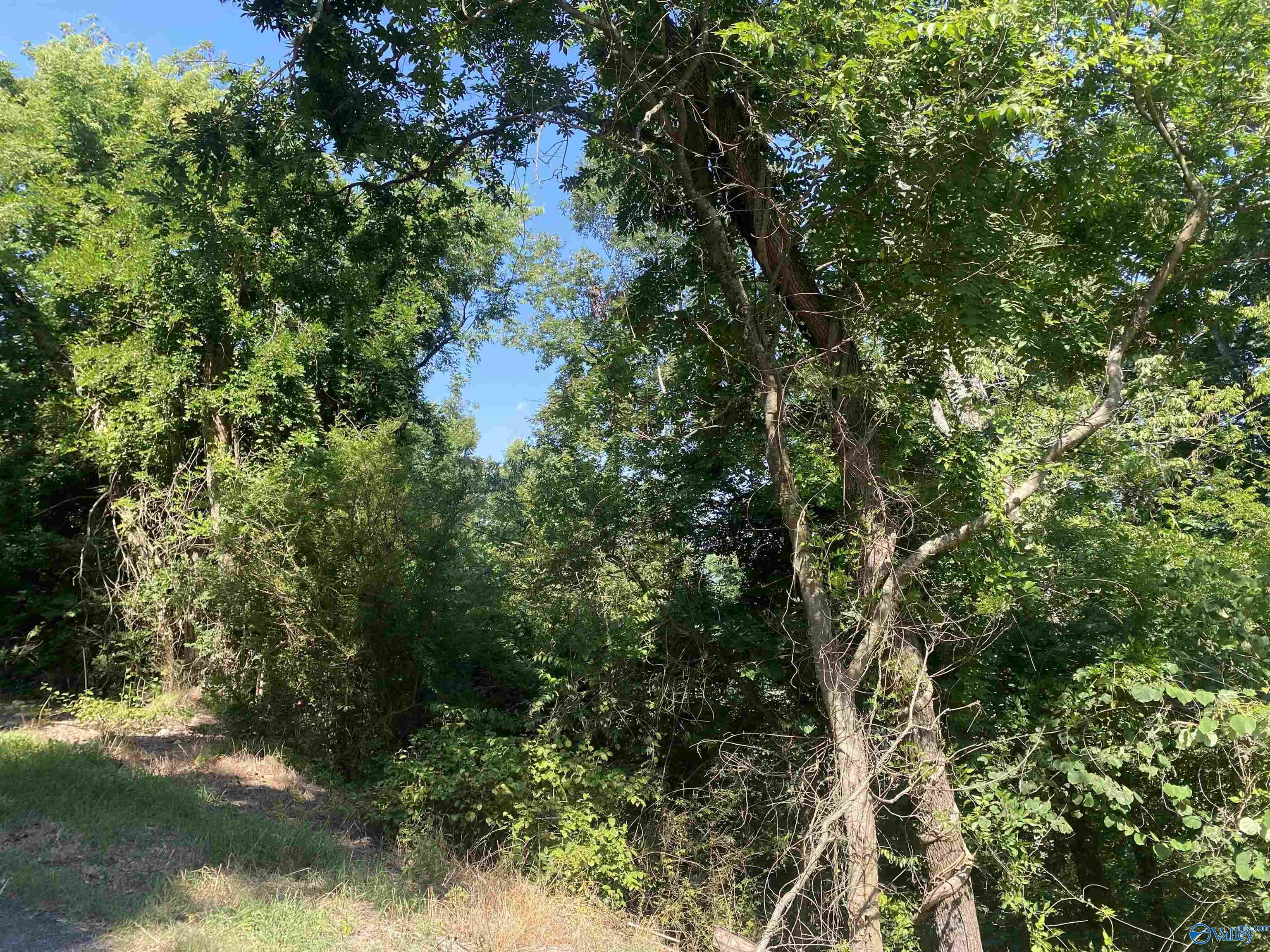 34 Acres Scenic Highway