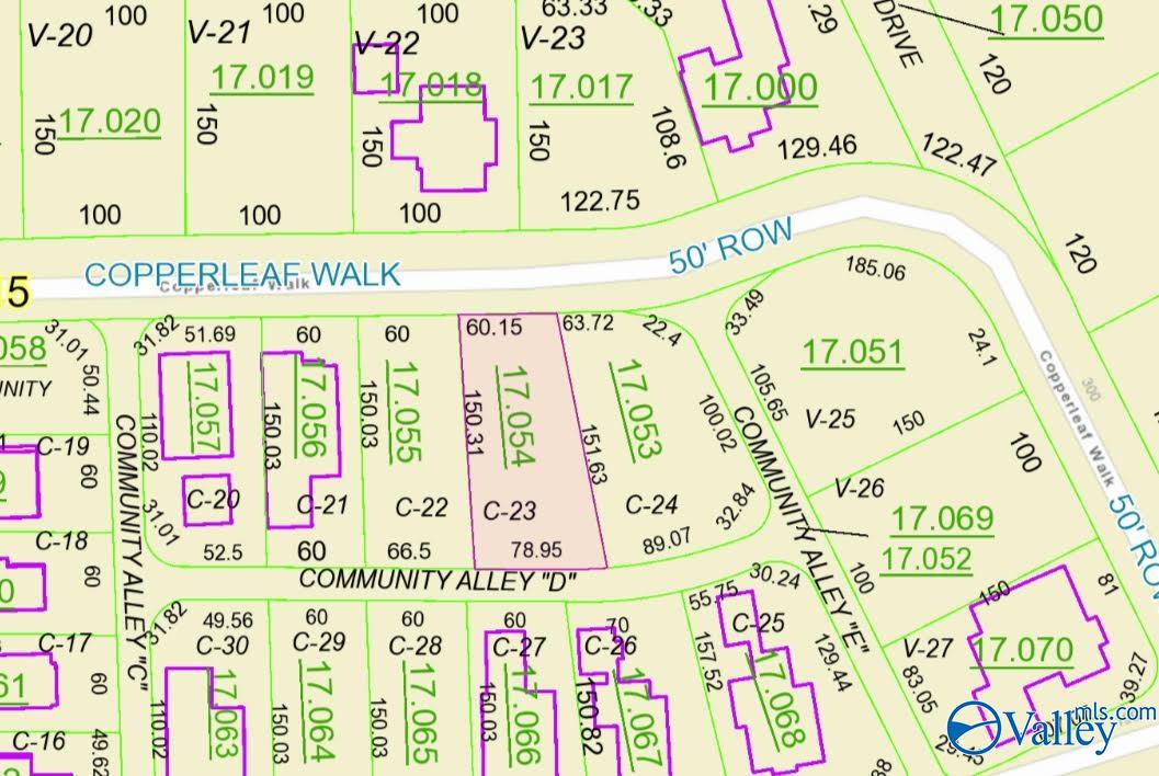 C23 Copper Leaf Walk