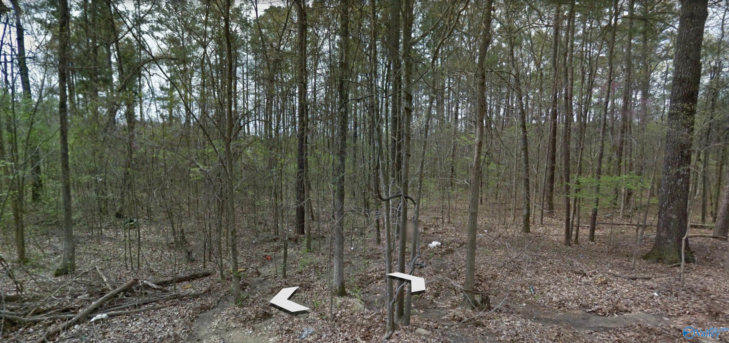 .50 Acre Spence Drive