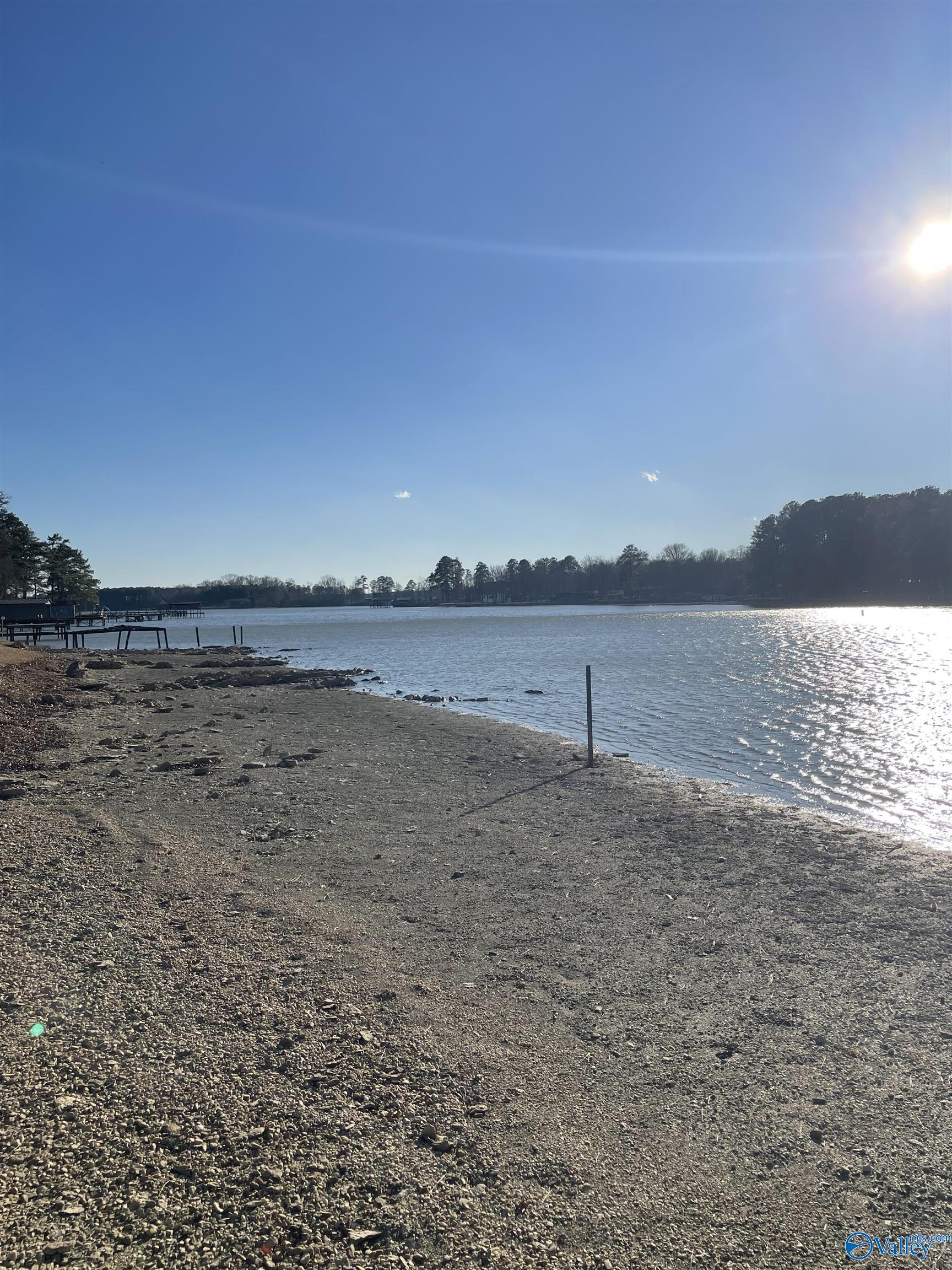 695 Pine Cone Street