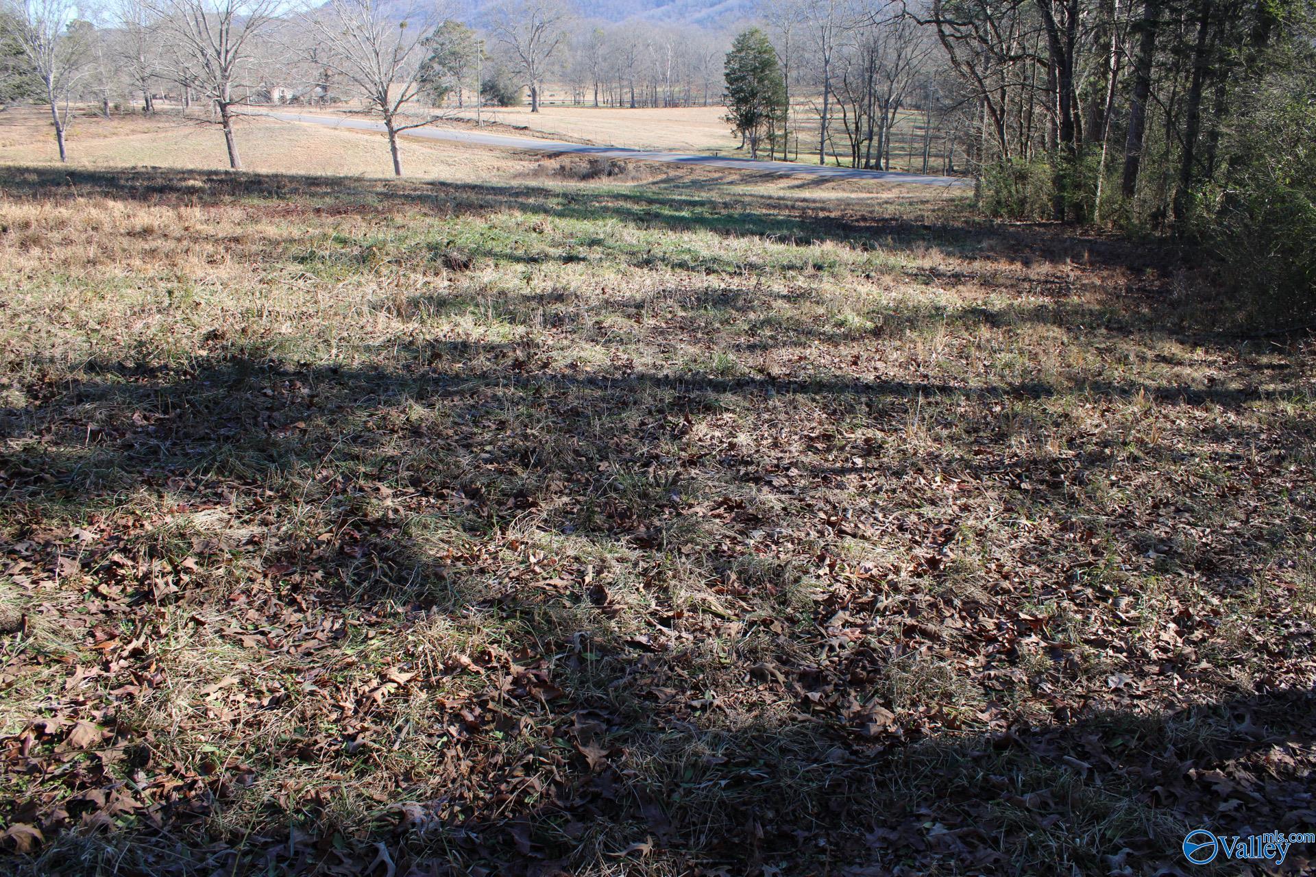 6.3 Acres Duck Springs Road