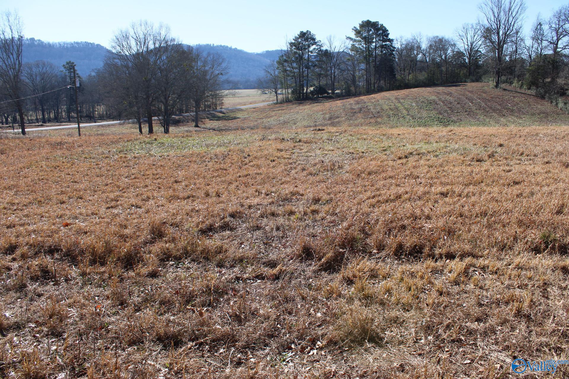 6.3 Acres Duck Springs Road