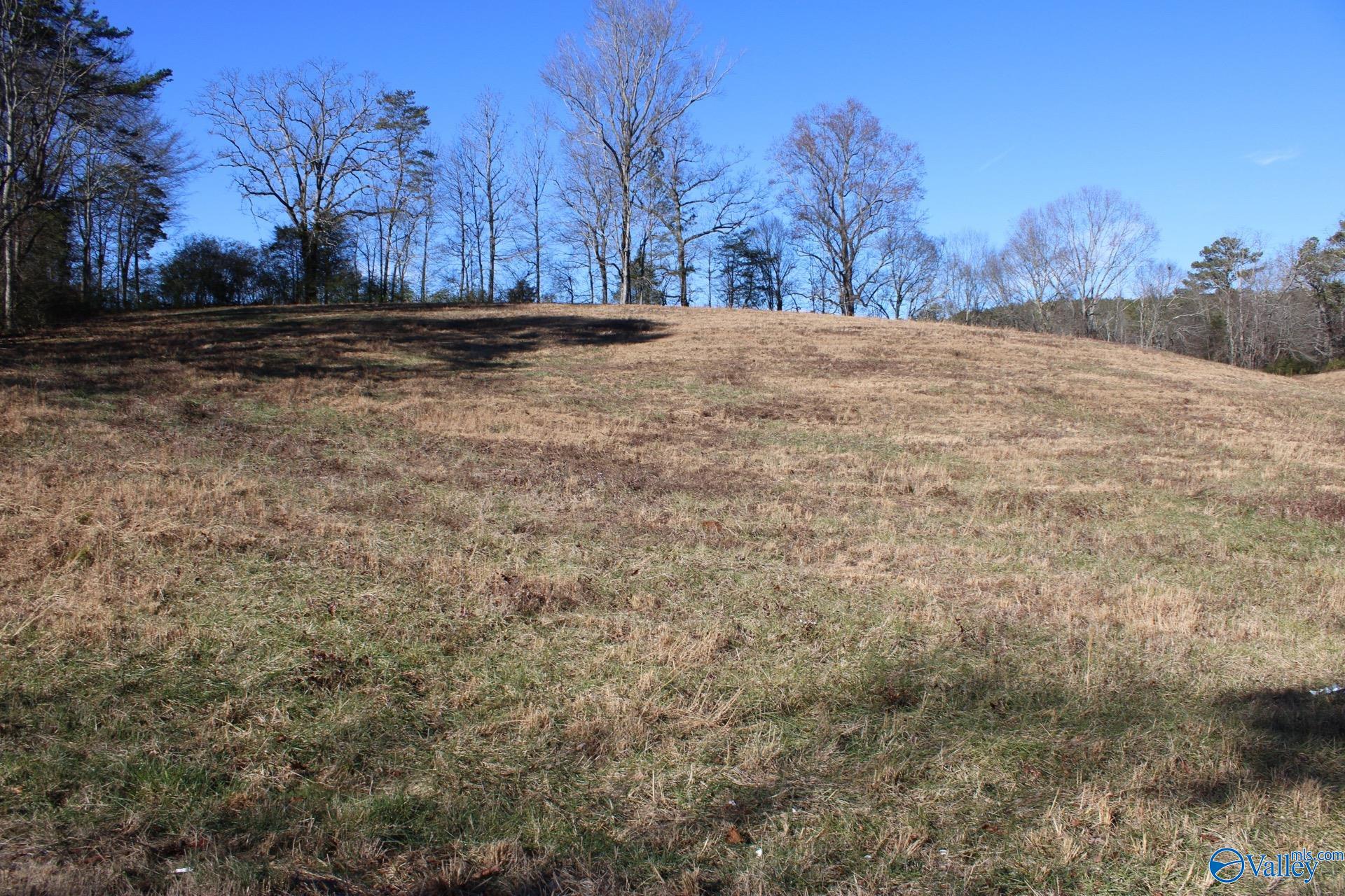 6.3 Acres Duck Springs Road