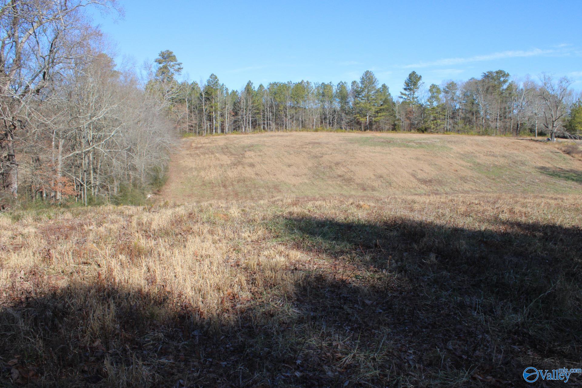 6.3 Acres Duck Springs Road