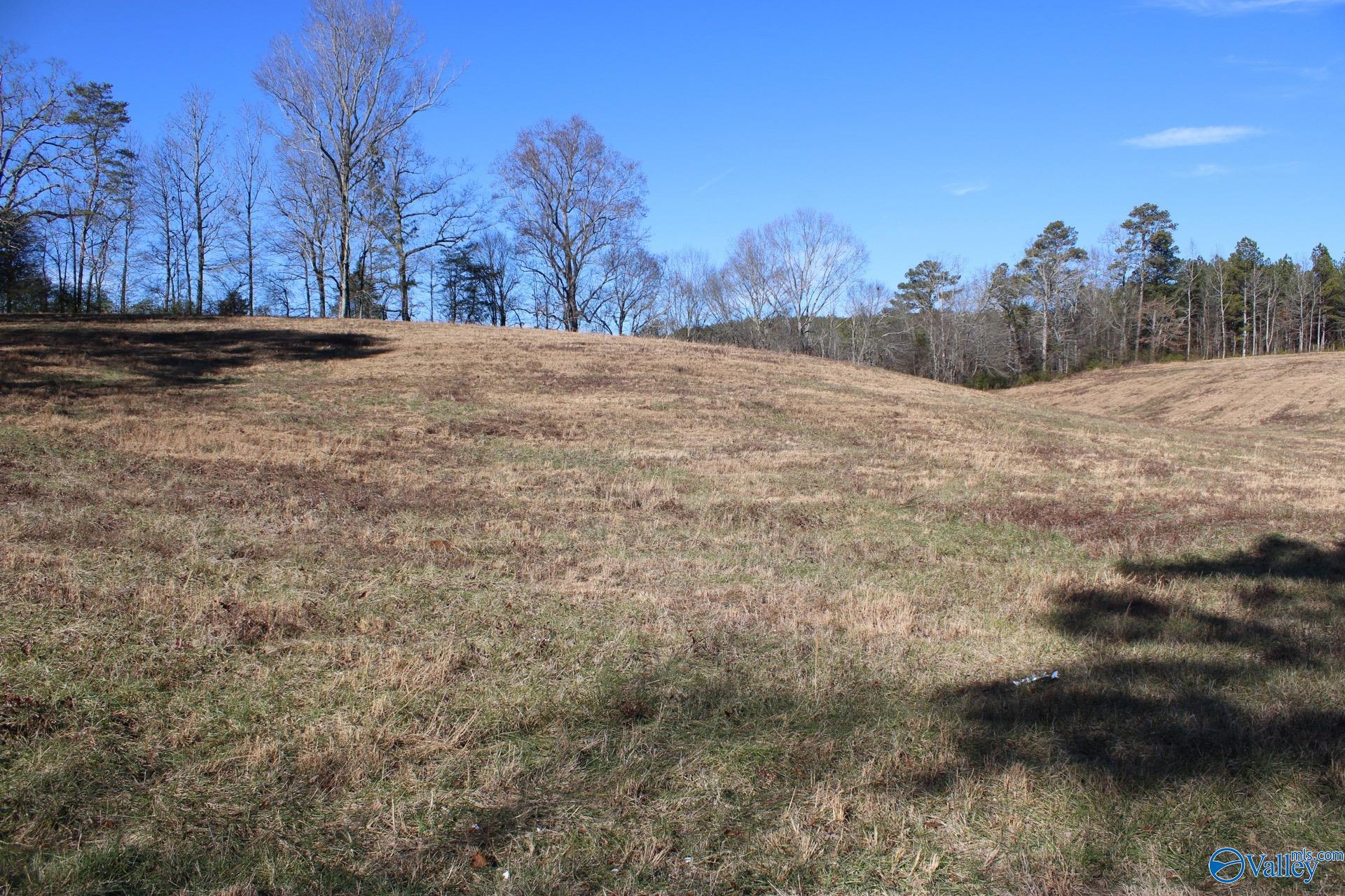 6.3 Acres Duck Springs Road