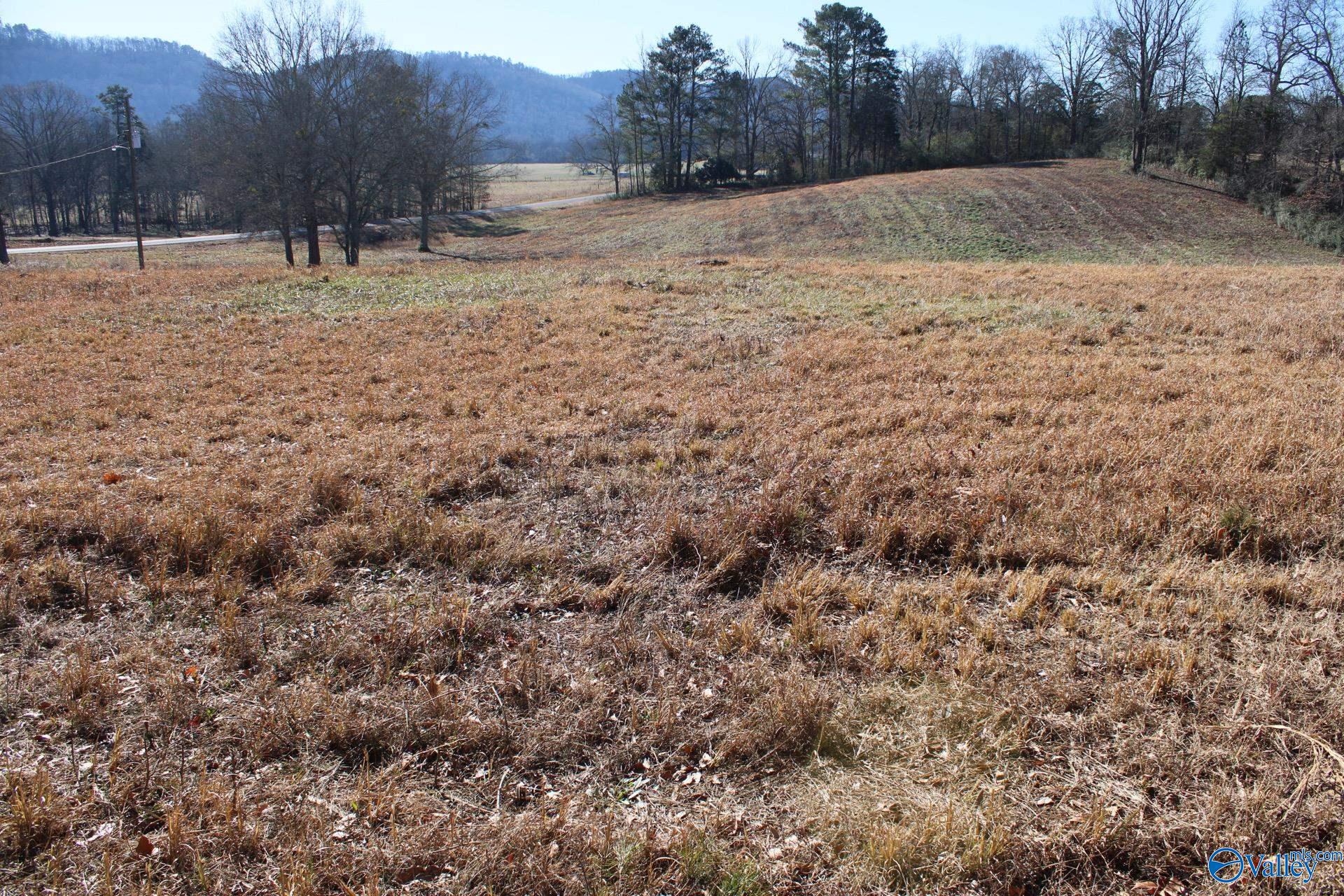 6.3 Acres Duck Springs Road