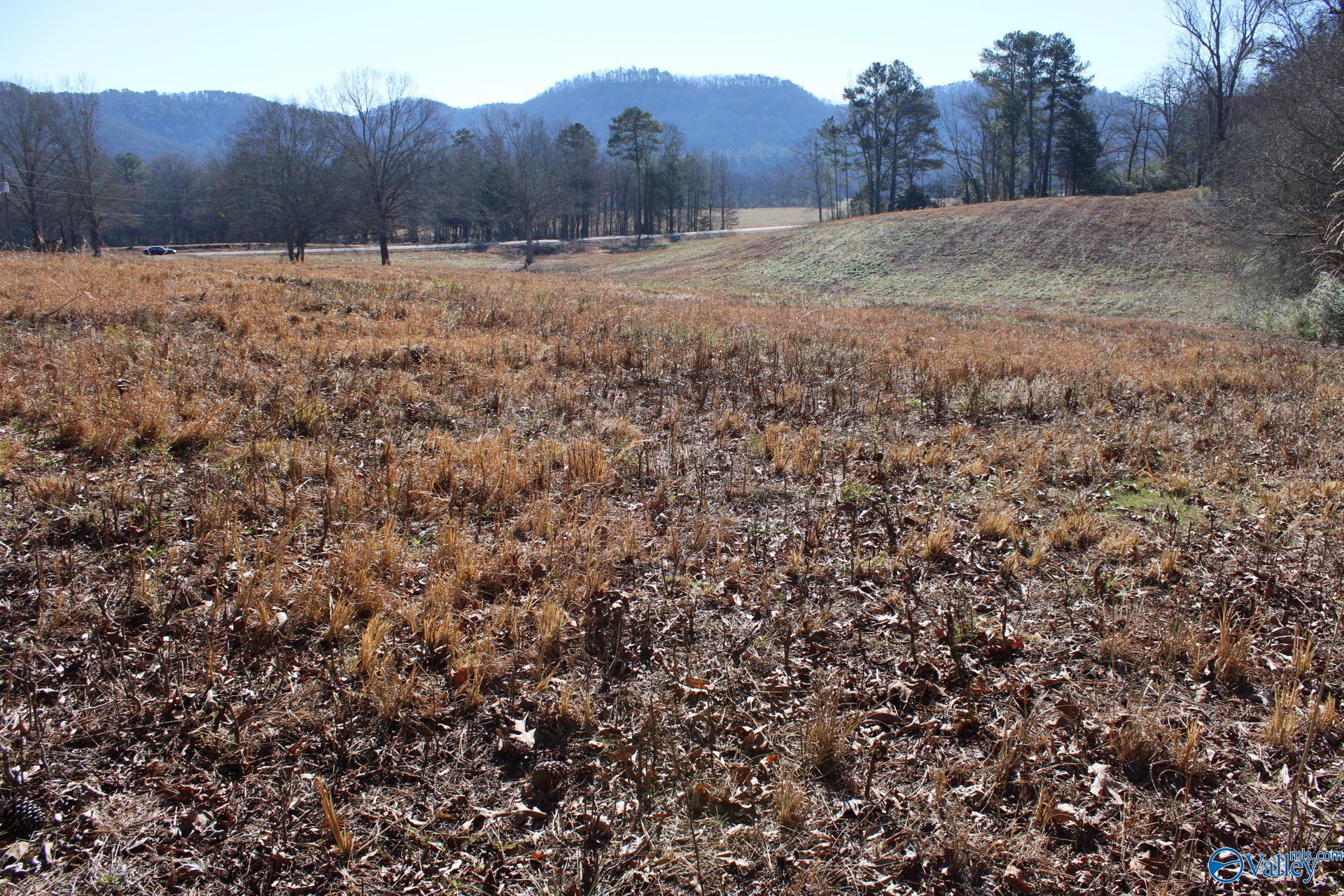 6.3 Acres Duck Springs Road