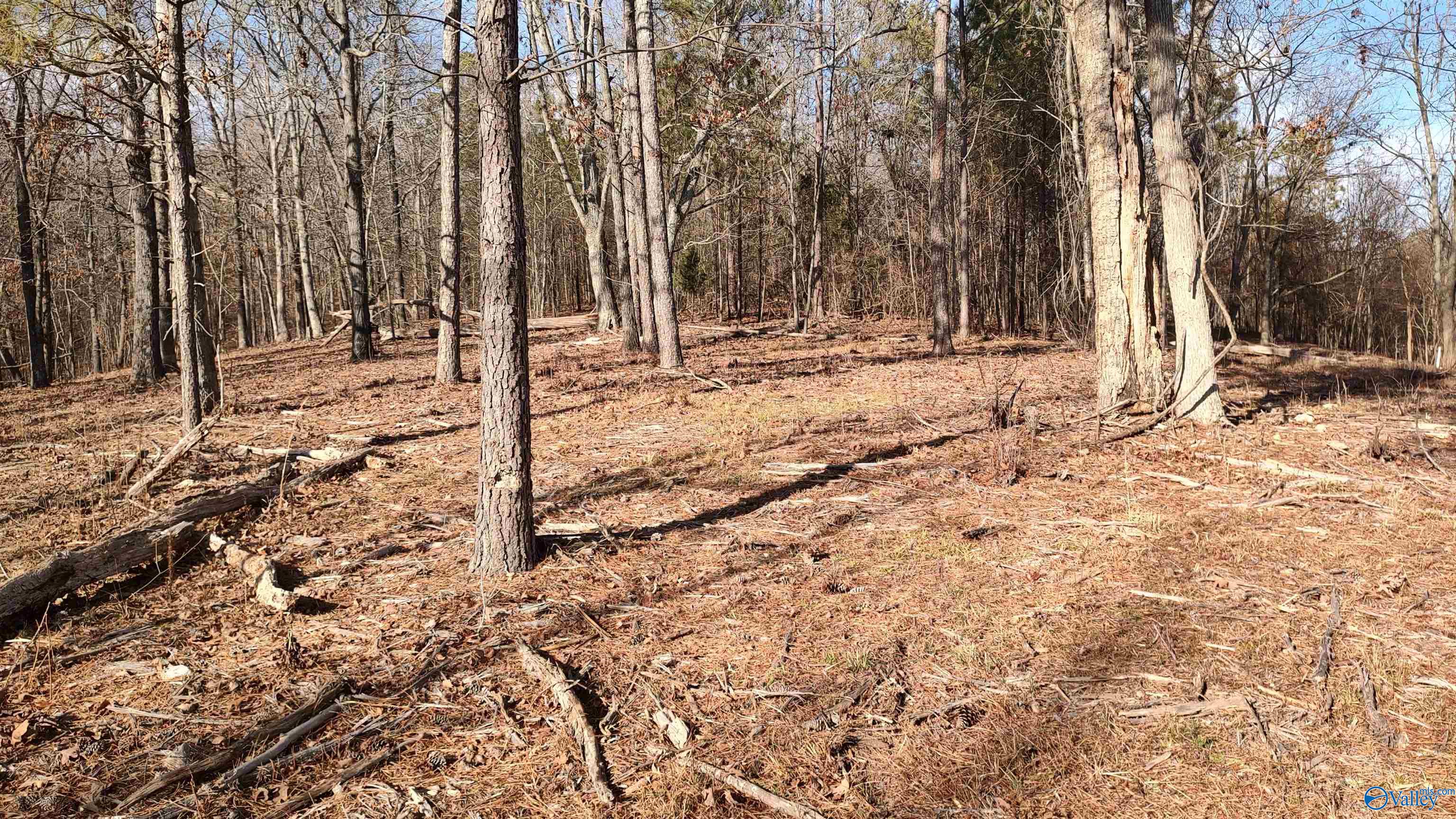 147 Lookout Mountain Drive