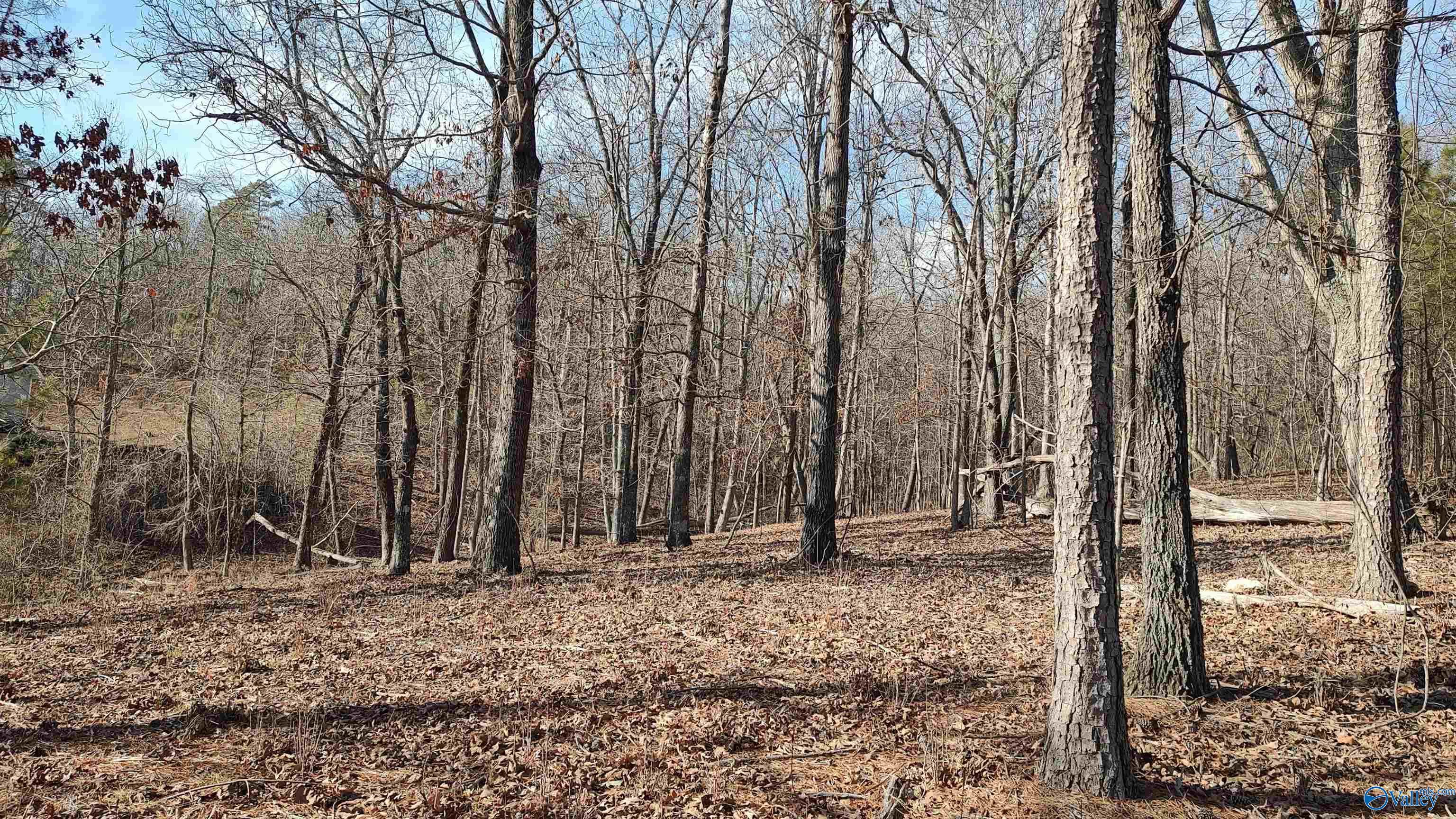 147 Lookout Mountain Drive