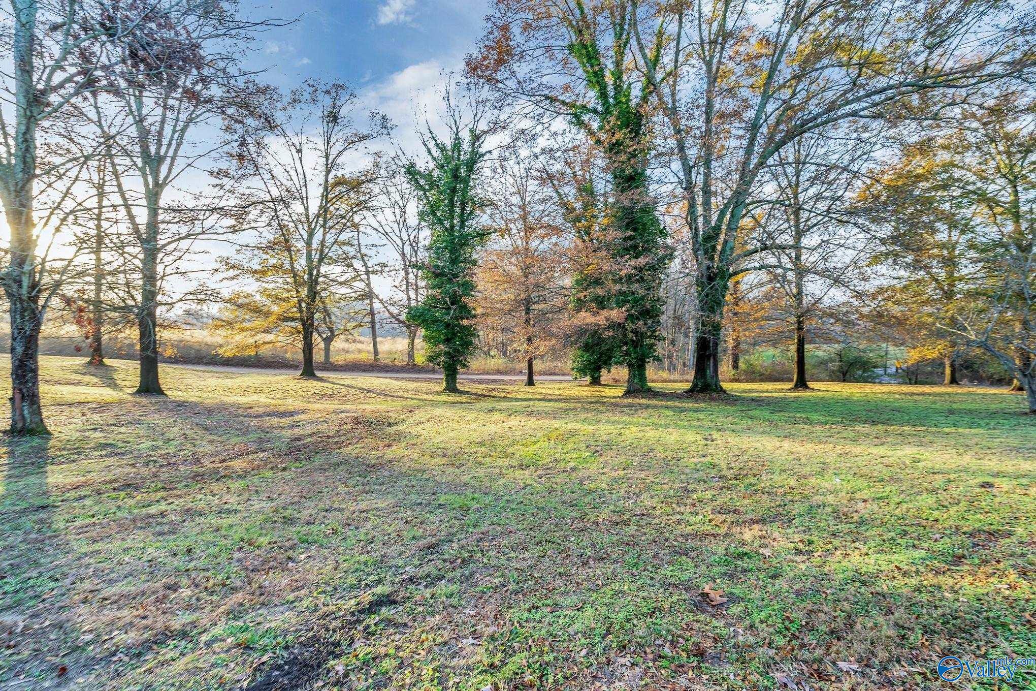 280 County Road 546, Albertville