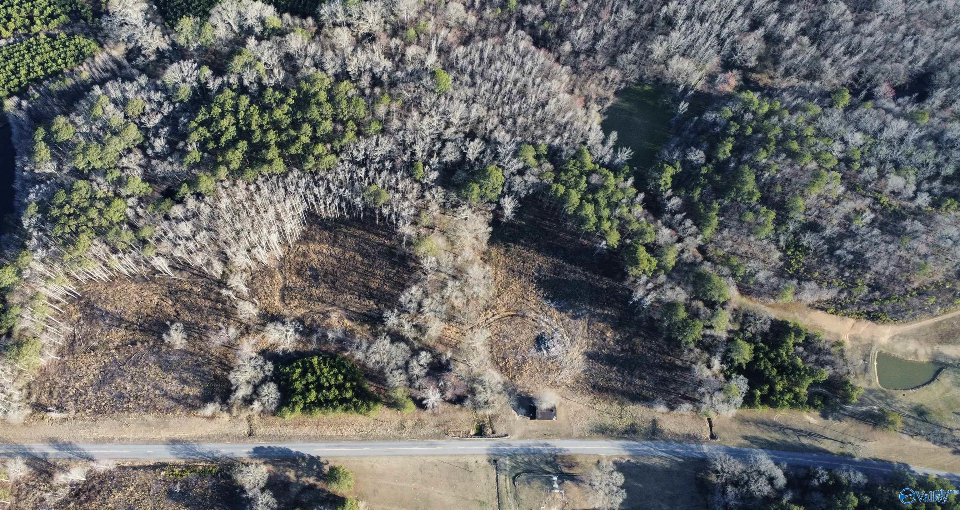 81.5 Acres Tabor Road