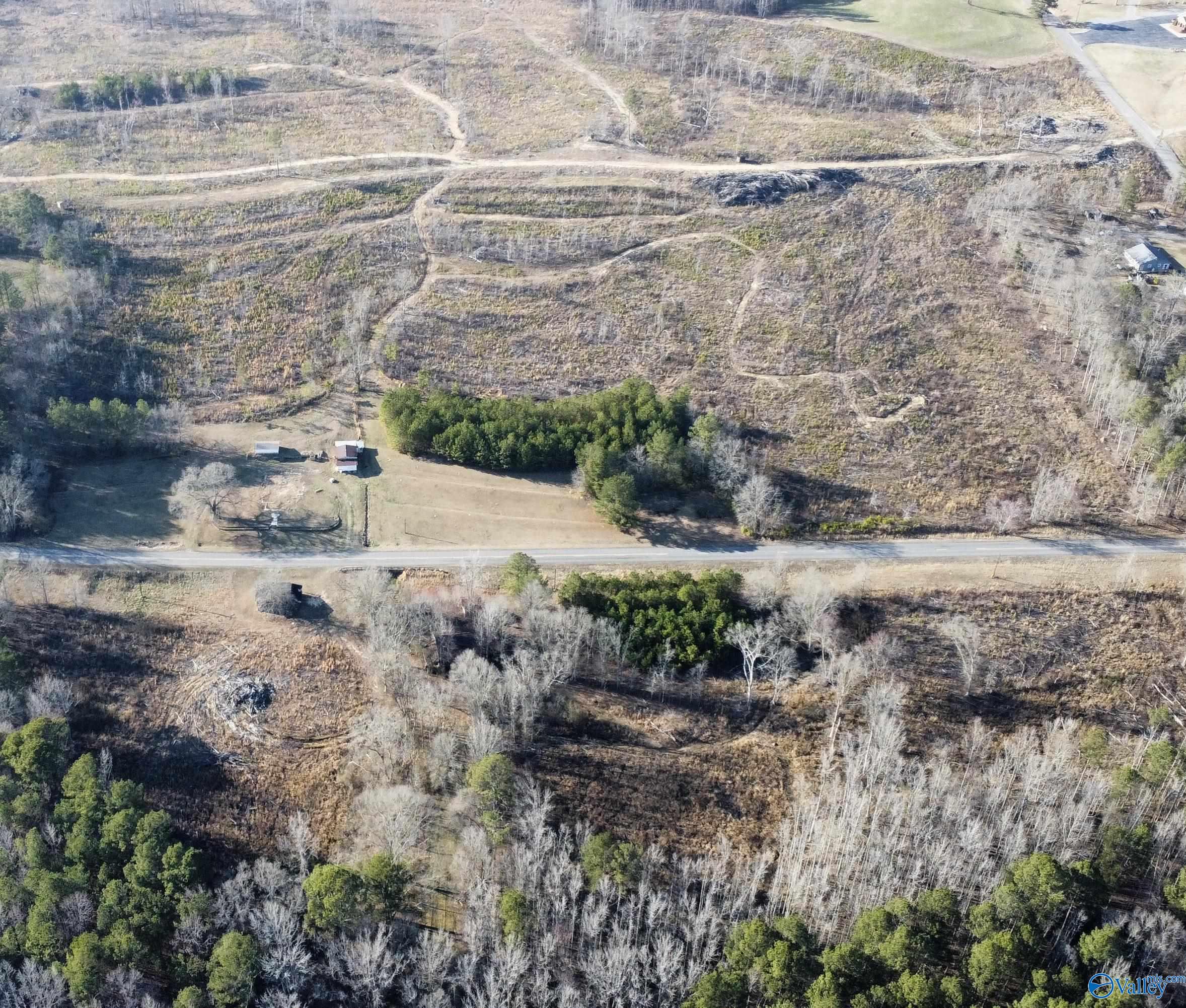 81.5 Acres Tabor Road