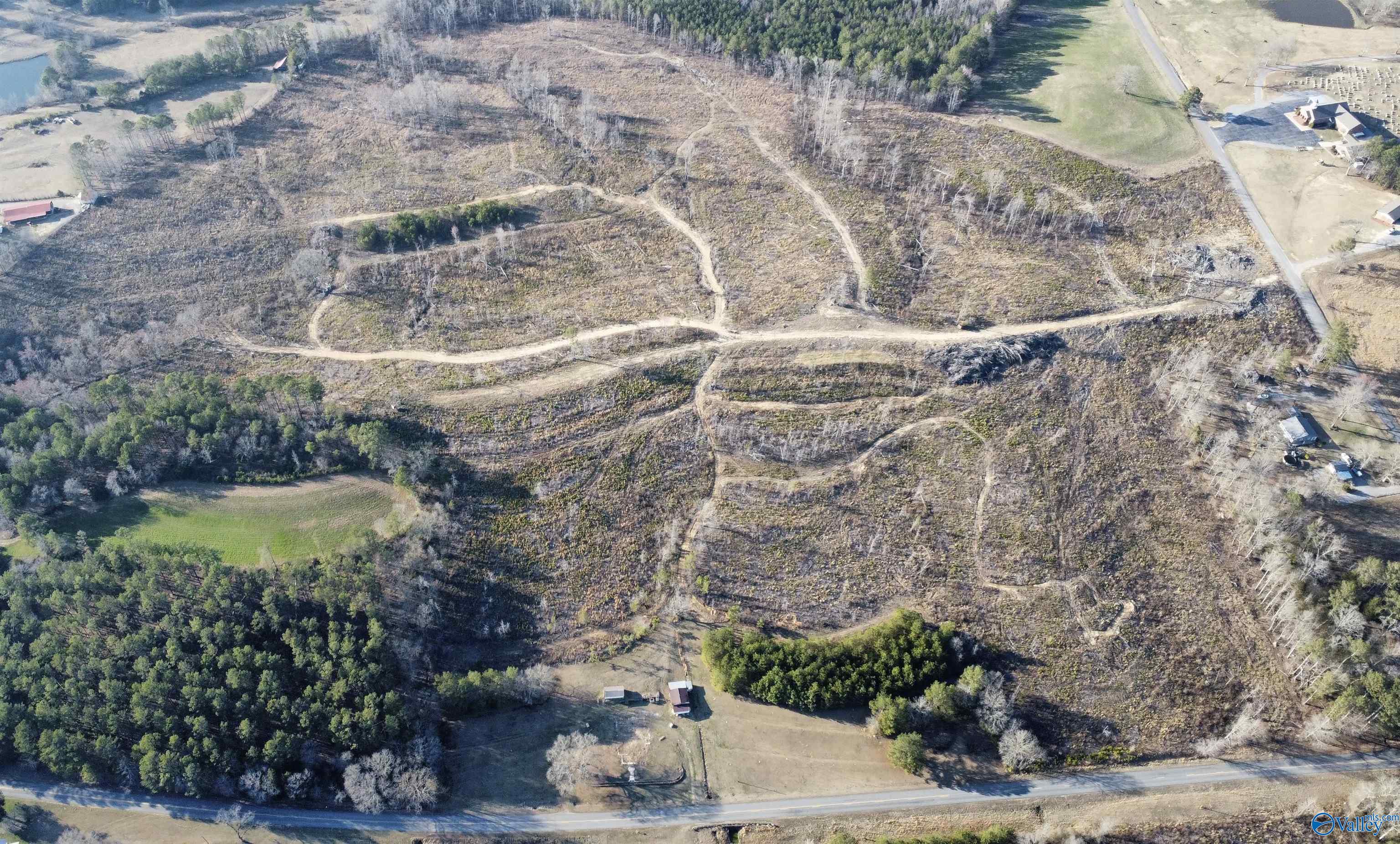 81.5 Acres Tabor Road