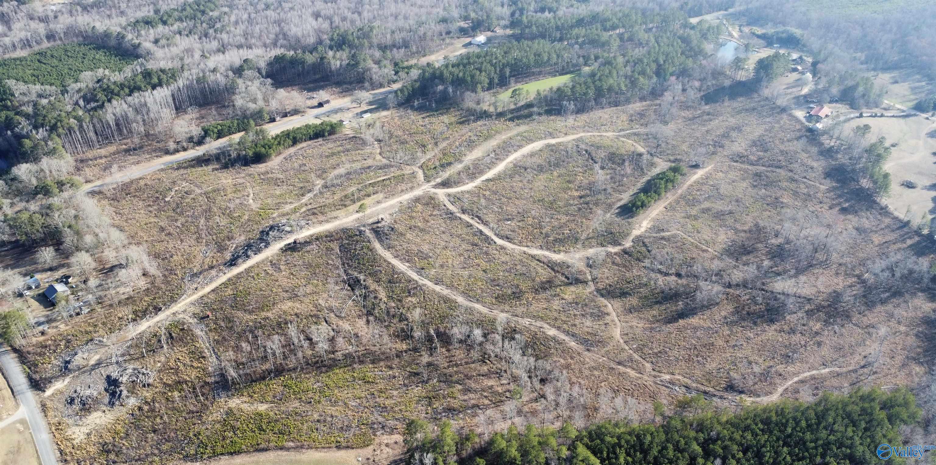 81.5 Acres Tabor Road