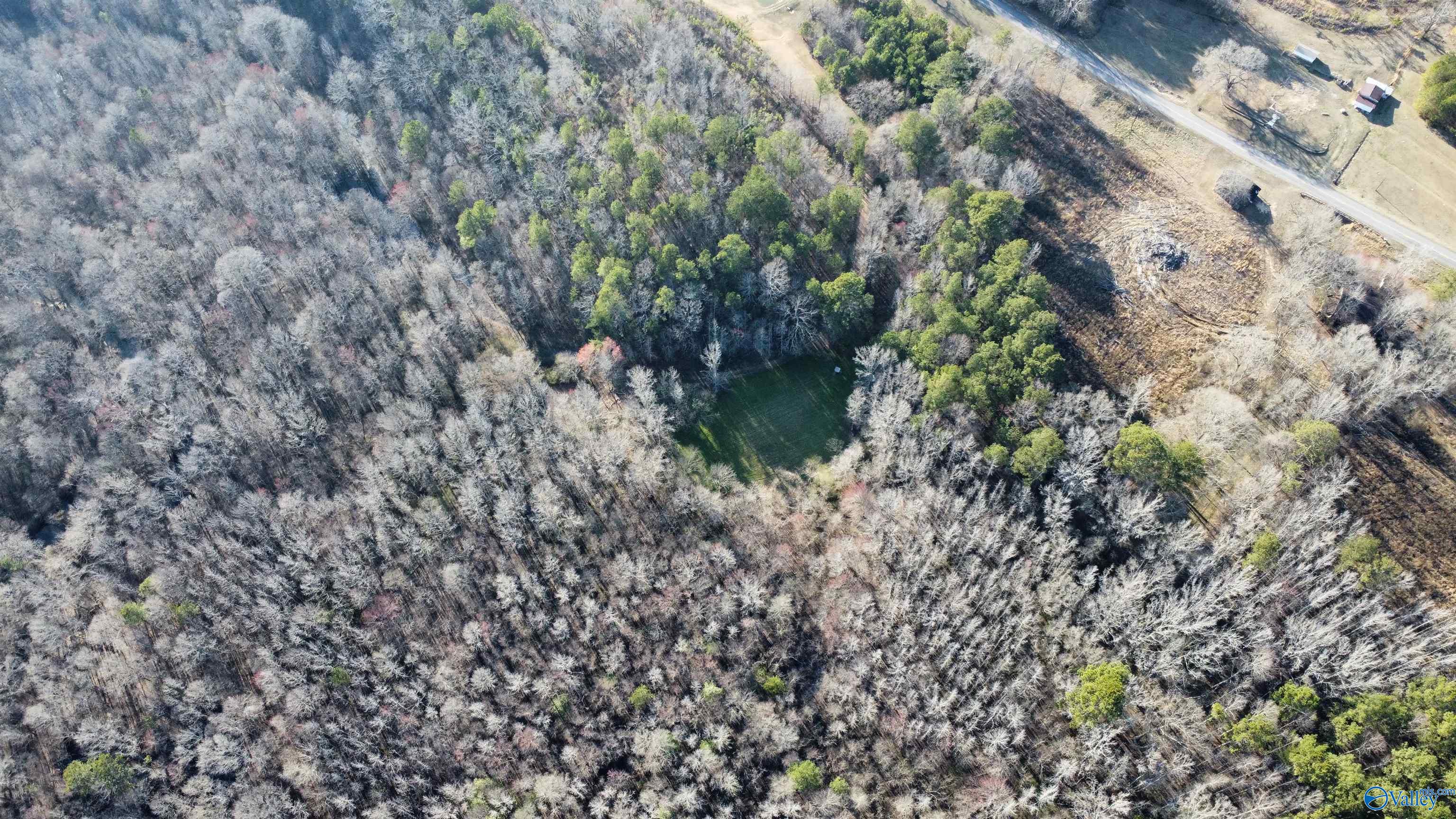 81.5 Acres Tabor Road