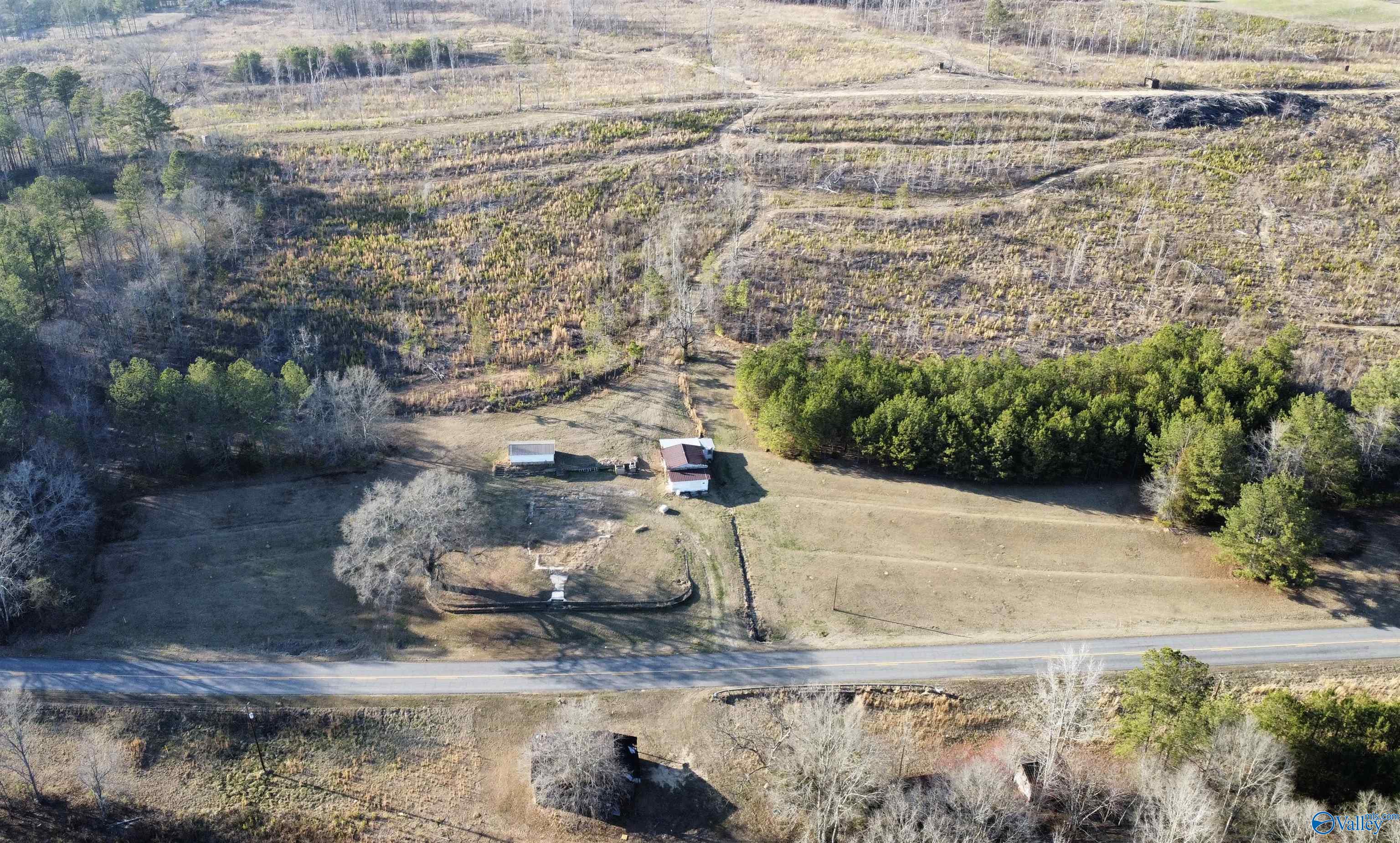 81.5 Acres Tabor Road