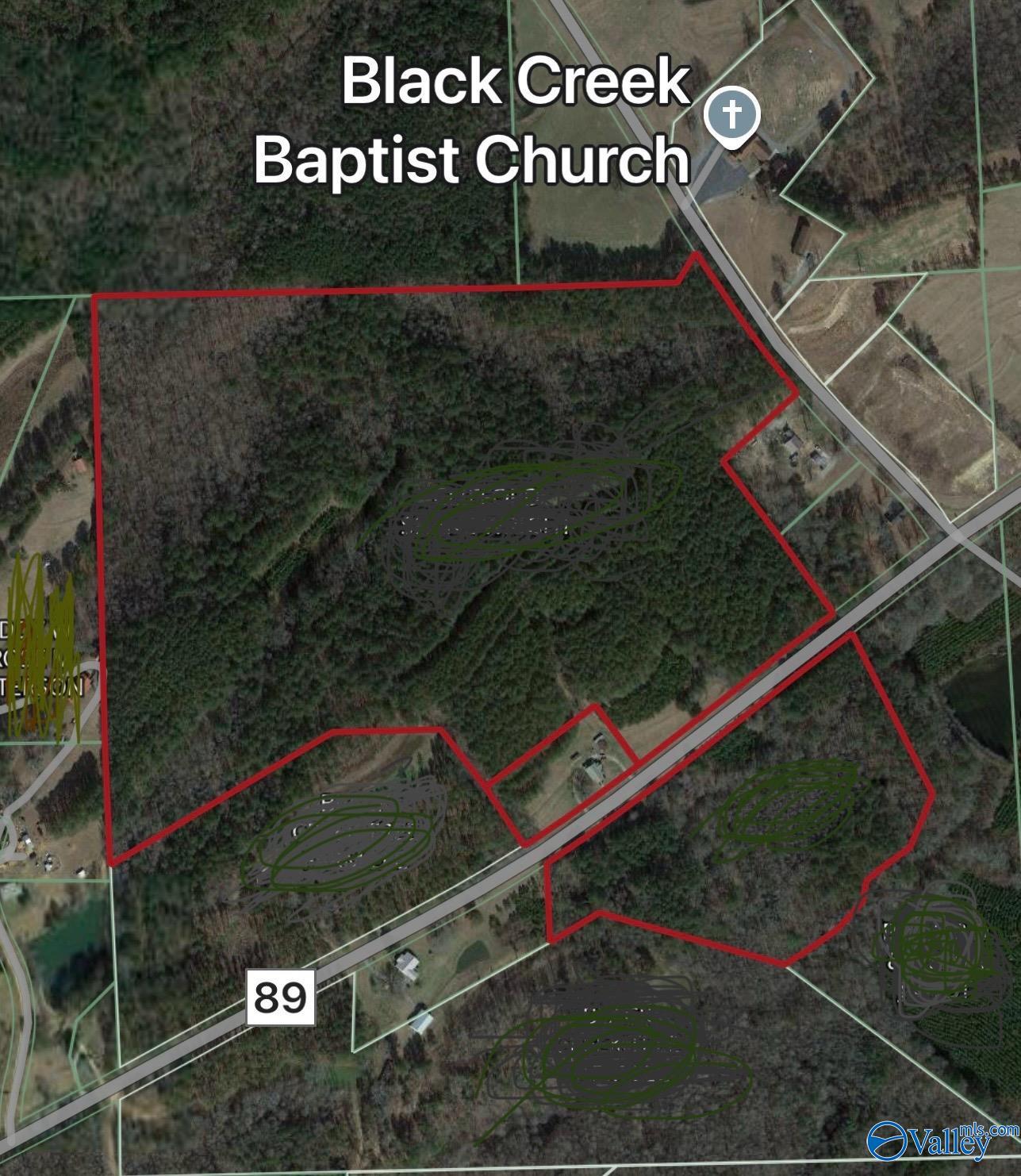 81.5 Acres Tabor Road