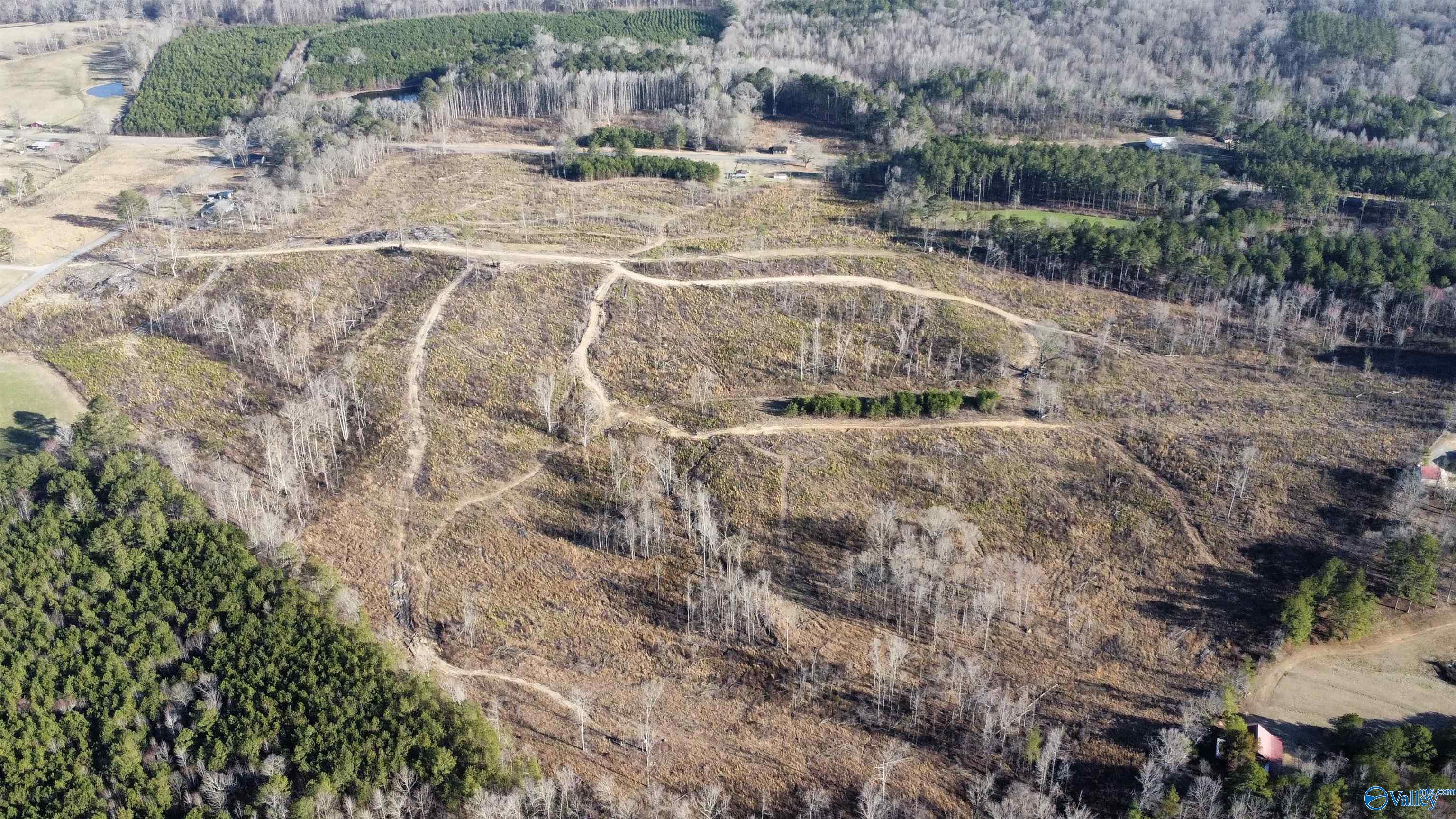 81.5 Acres Tabor Road