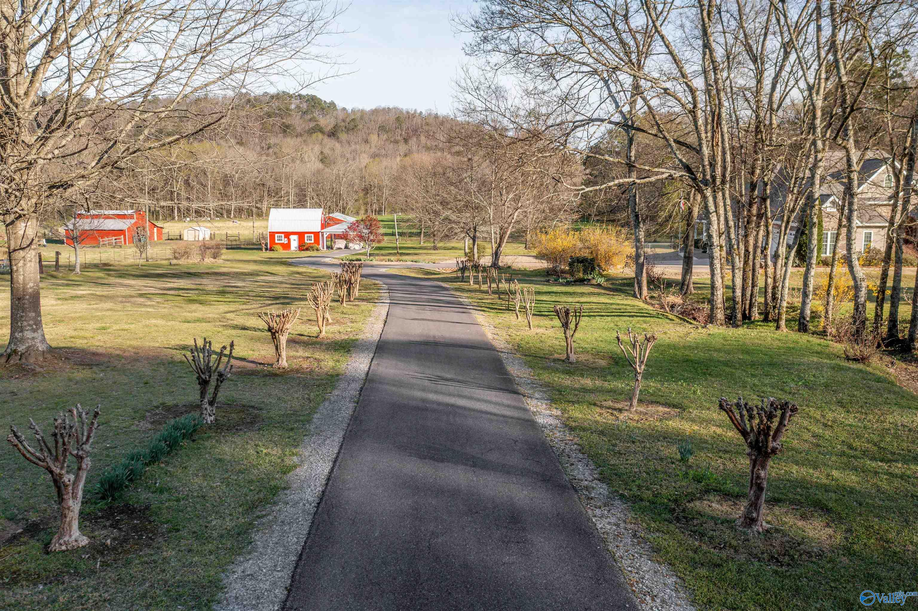 3602 Beason Cove Road