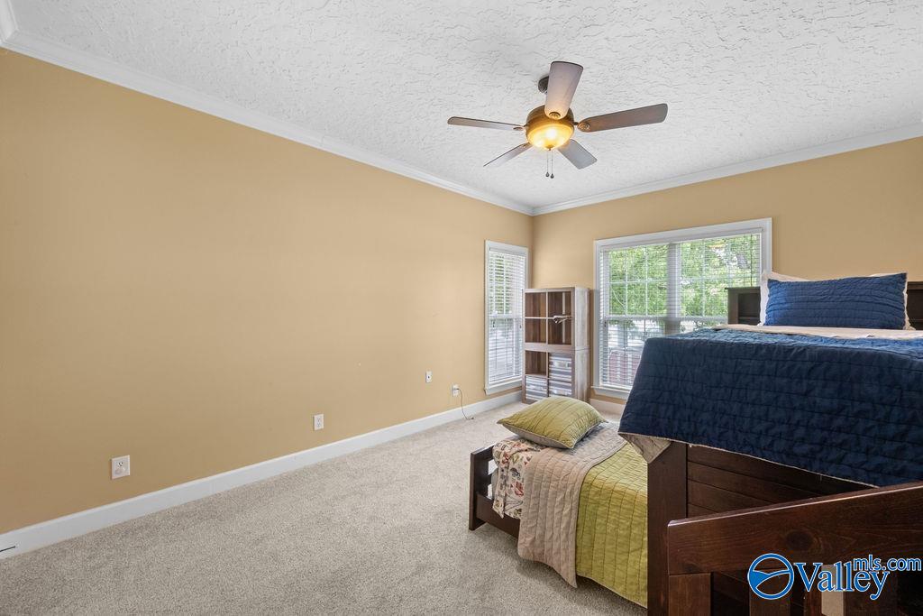 219 Sharp Drive