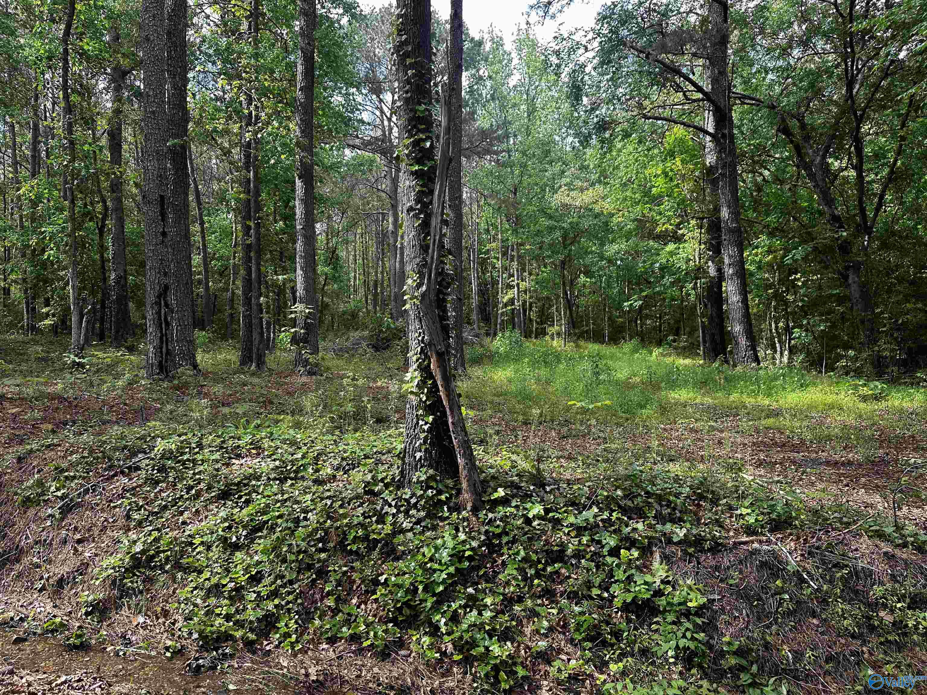 152 Robertson Street