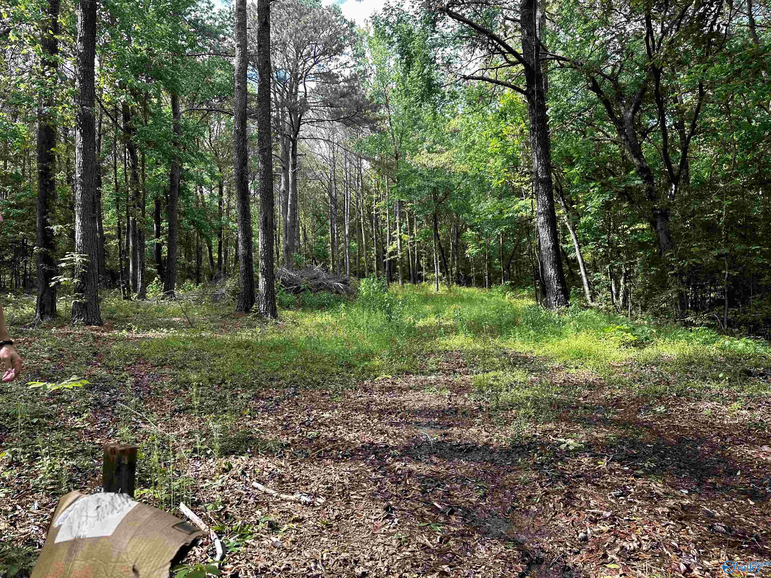 152 Robertson Street