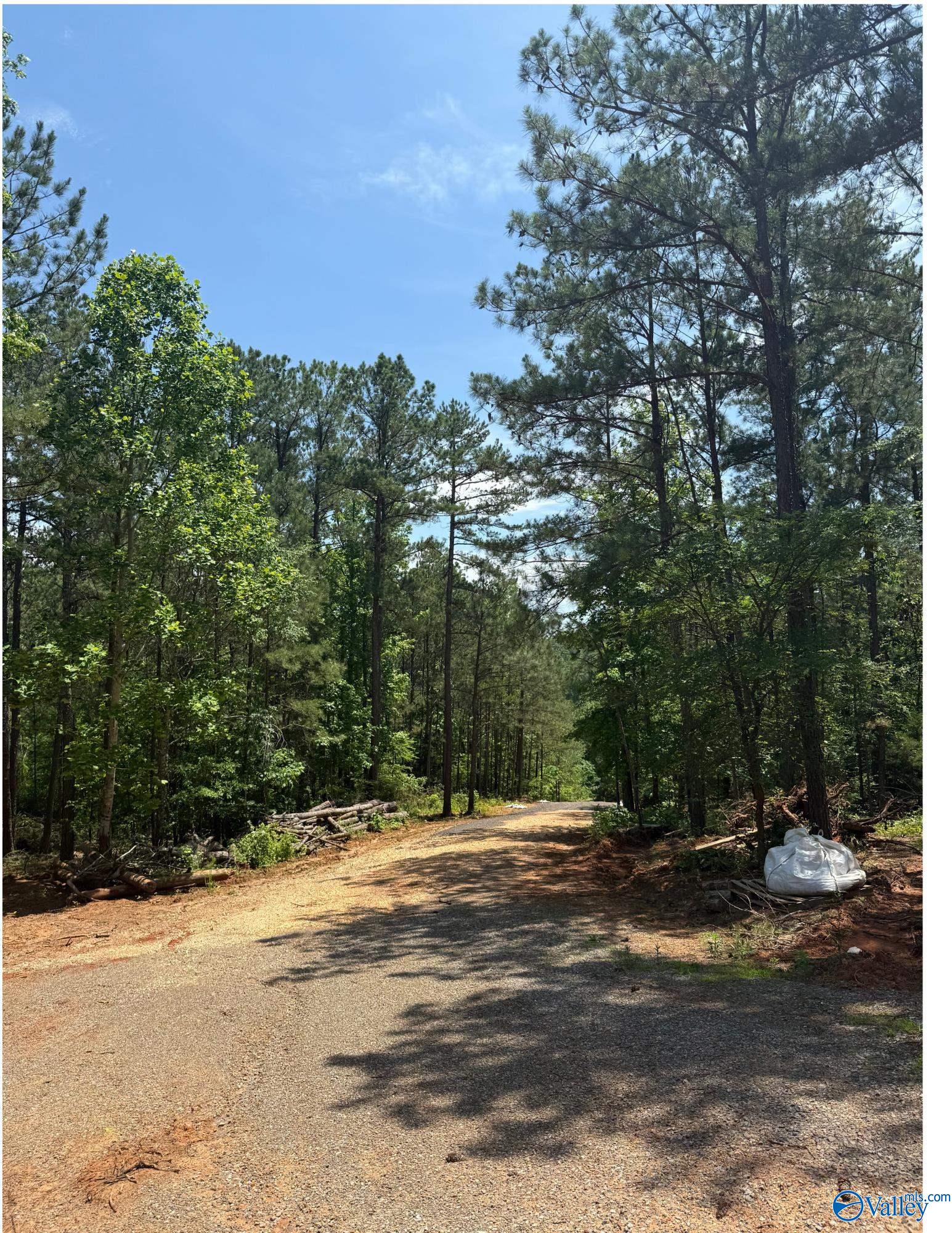 7451 Scenic Highway