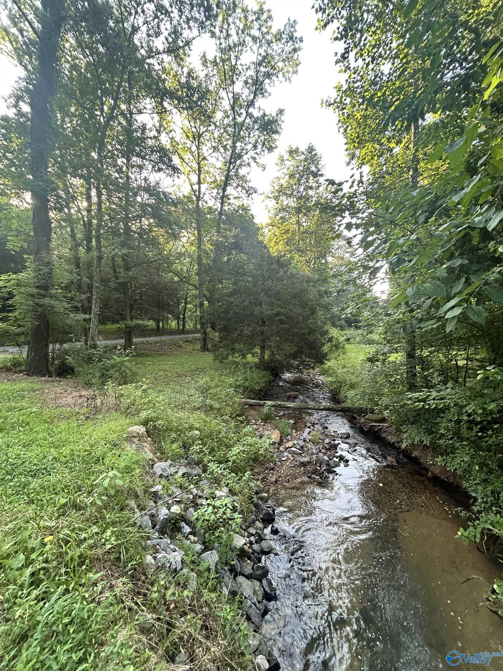 3.9 Acres County Road 212