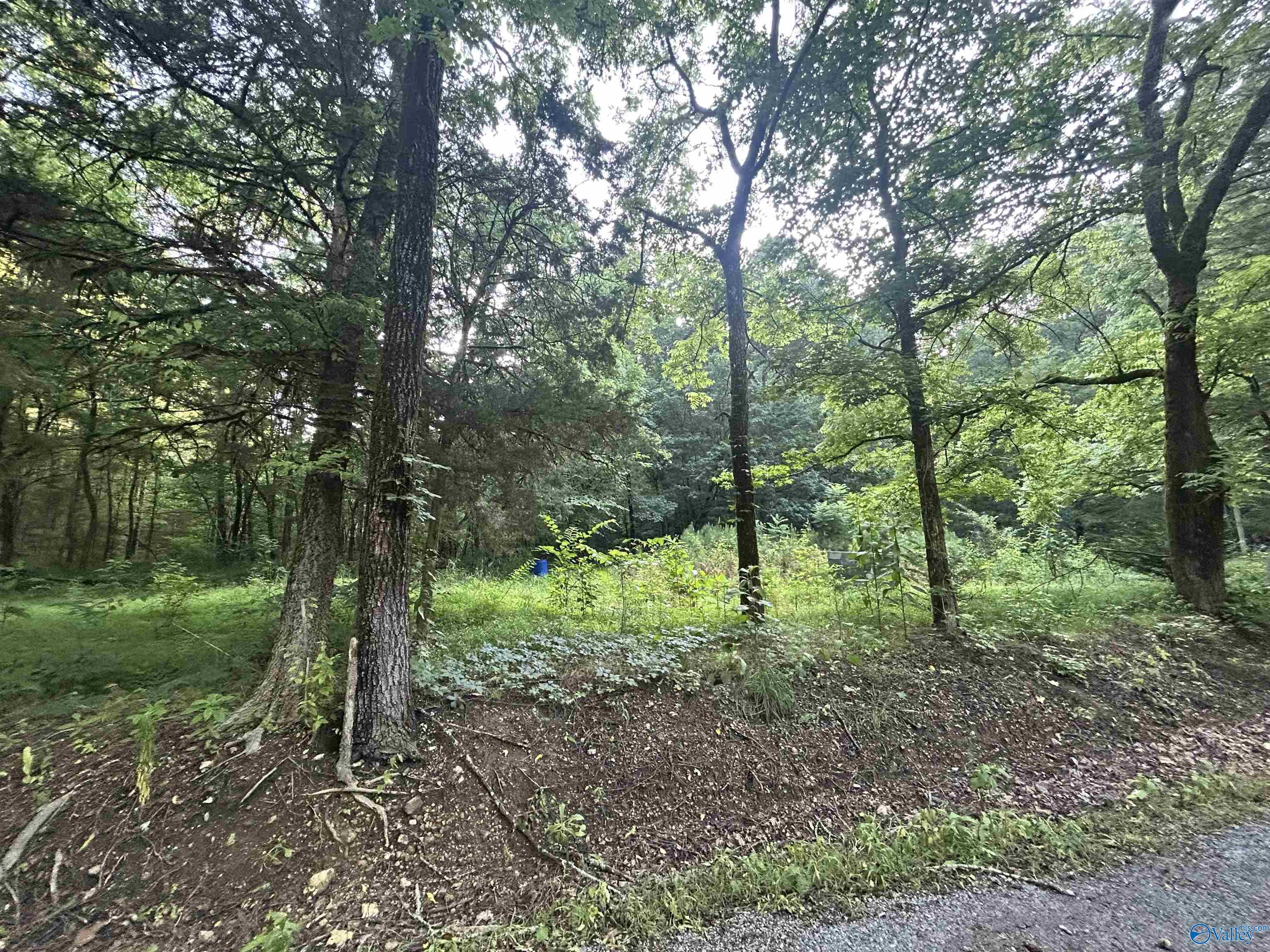 3.9 Acres County Road 212