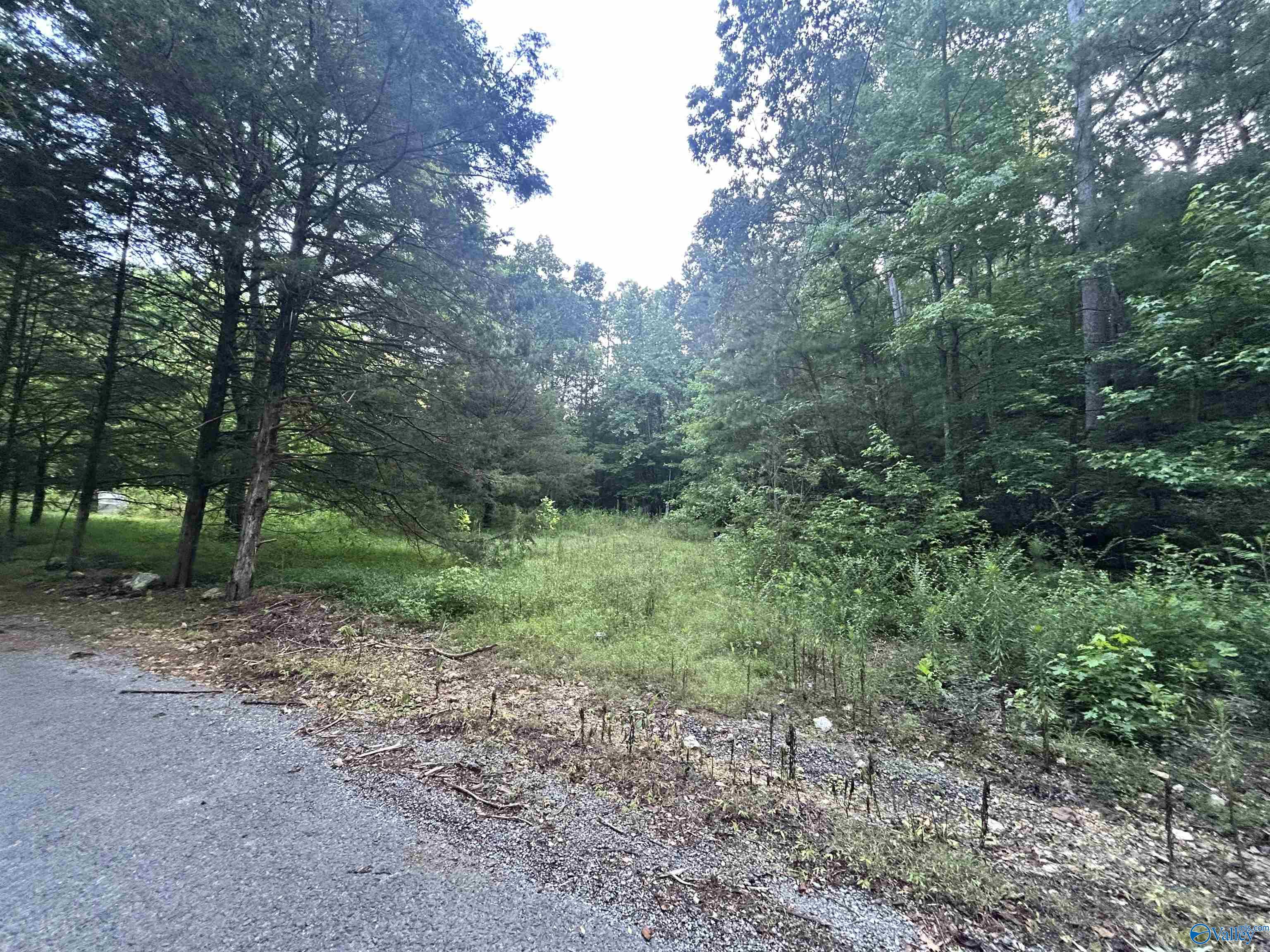 3.9 Acres County Road 212