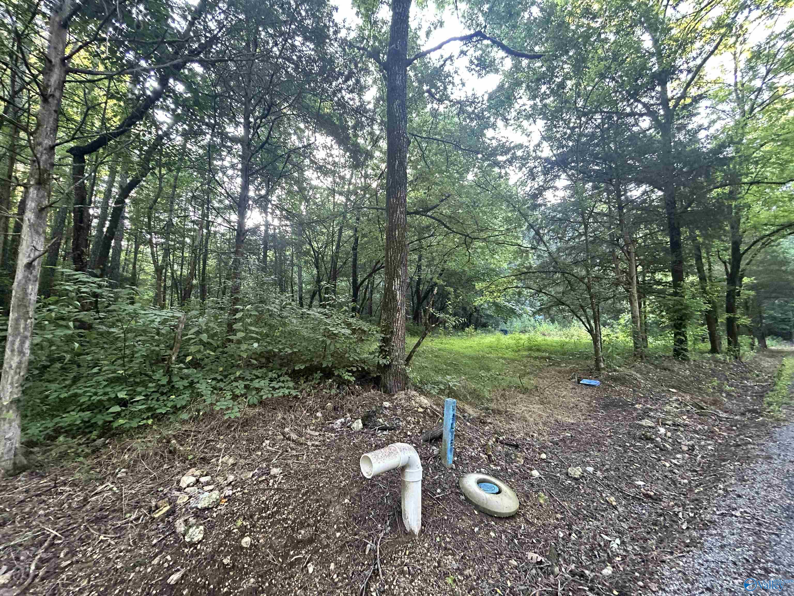 3.9 Acres County Road 212