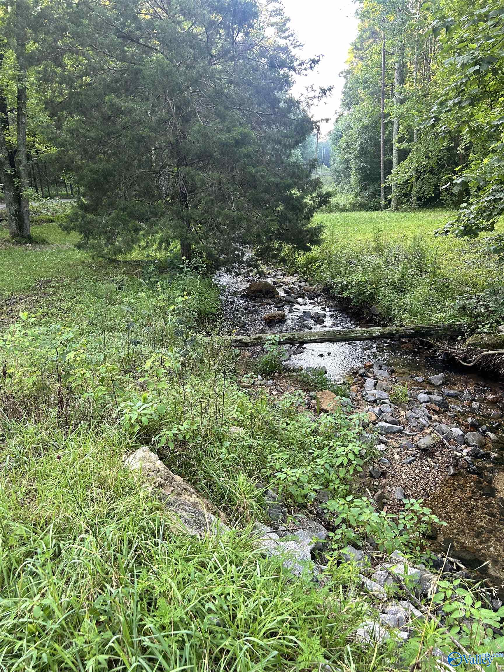 3.9 Acres County Road 212