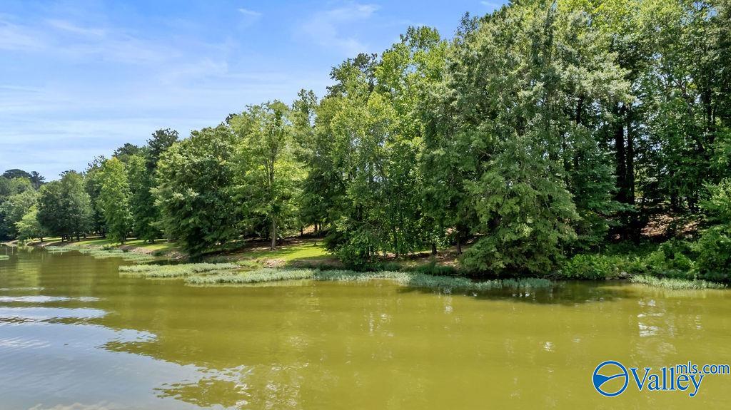 Lot M-6 Copper Leaf Walk Lot 6 Unit: Lot M-6