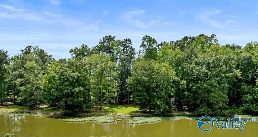 Lot M-7 Copper Leaf Walk