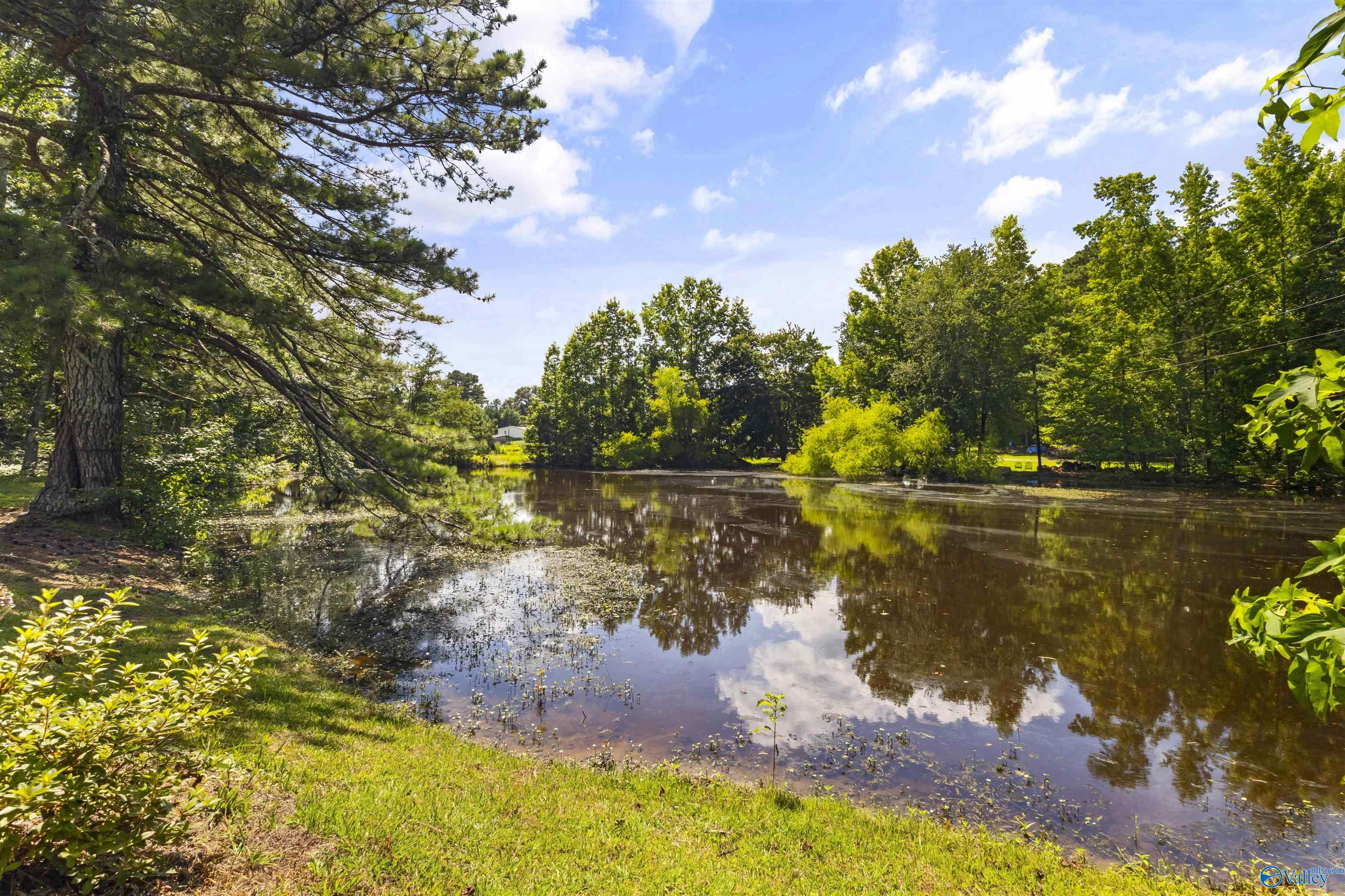 703 Old Sheffield Gap Road