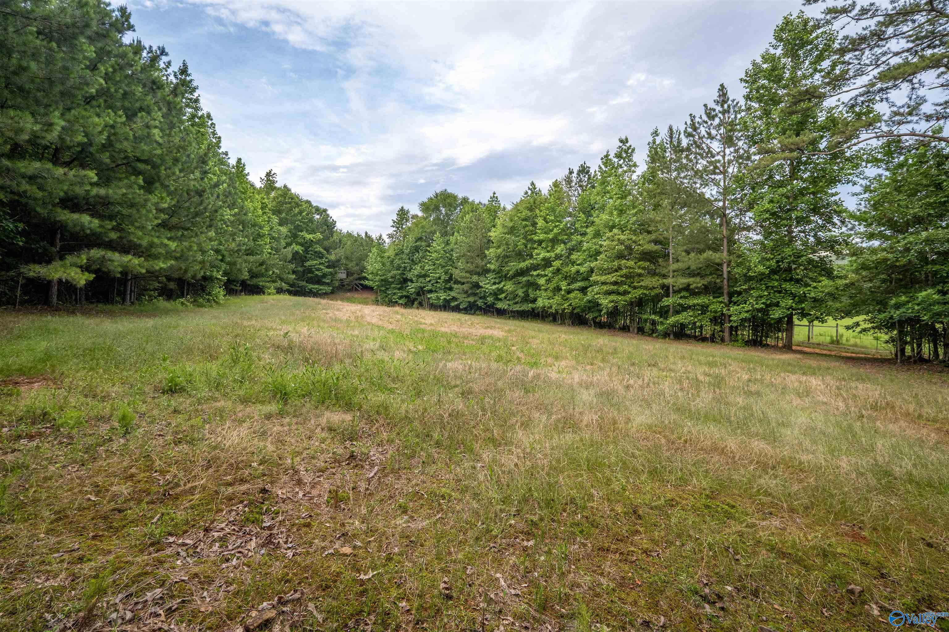 7805 Owls Hollow Road