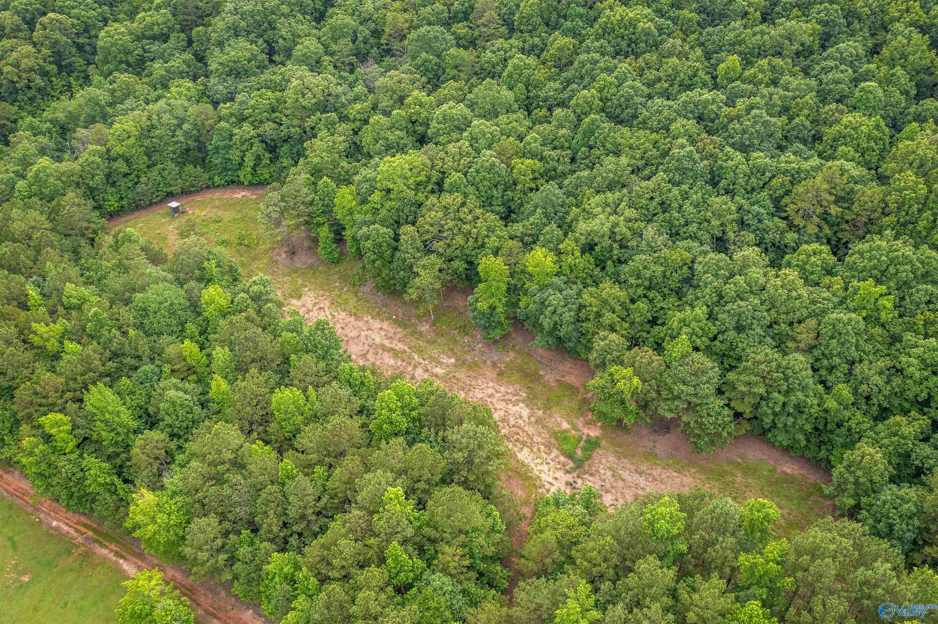 7805 Owls Hollow Road