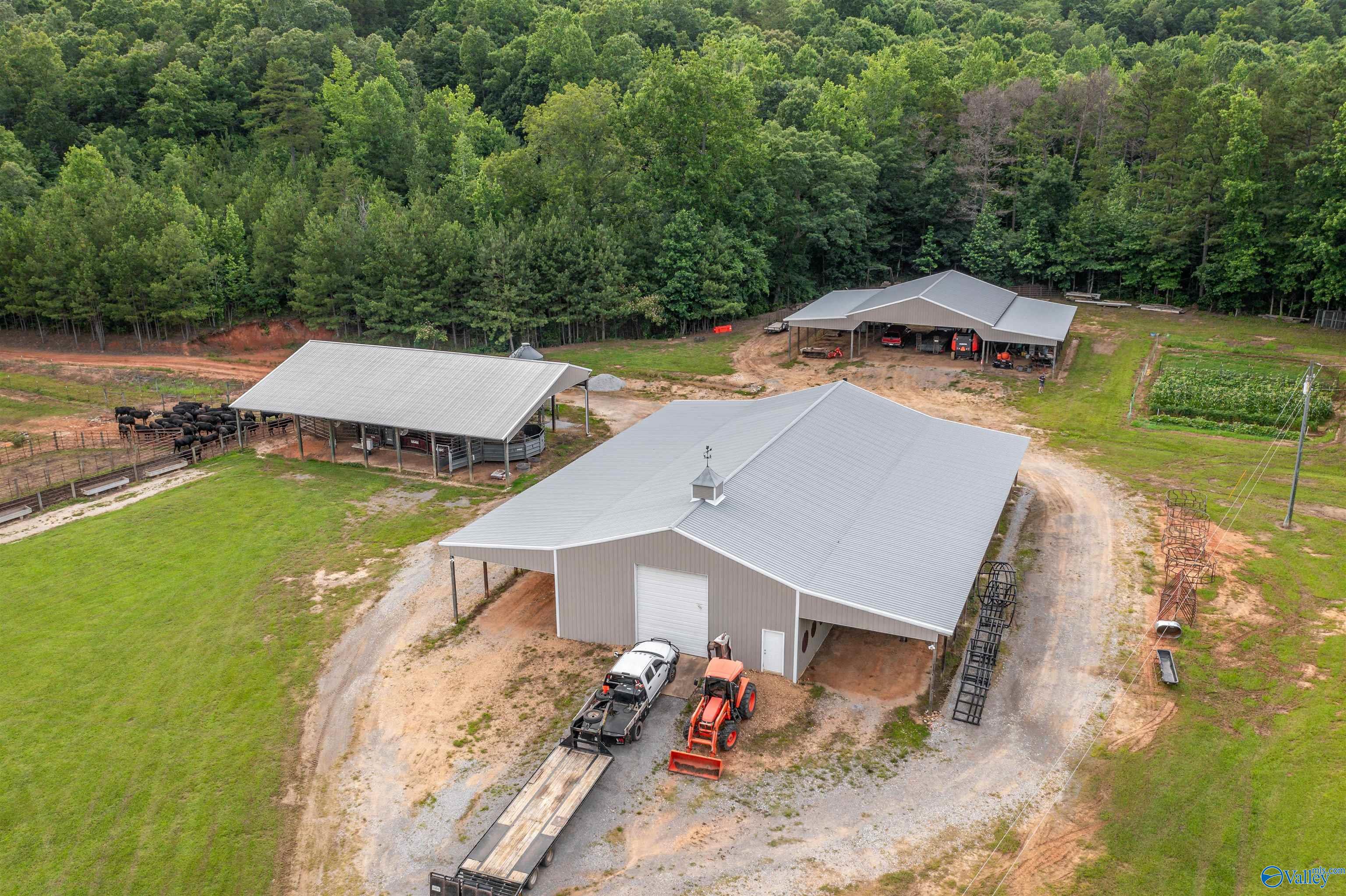 7805 Owls Hollow Road