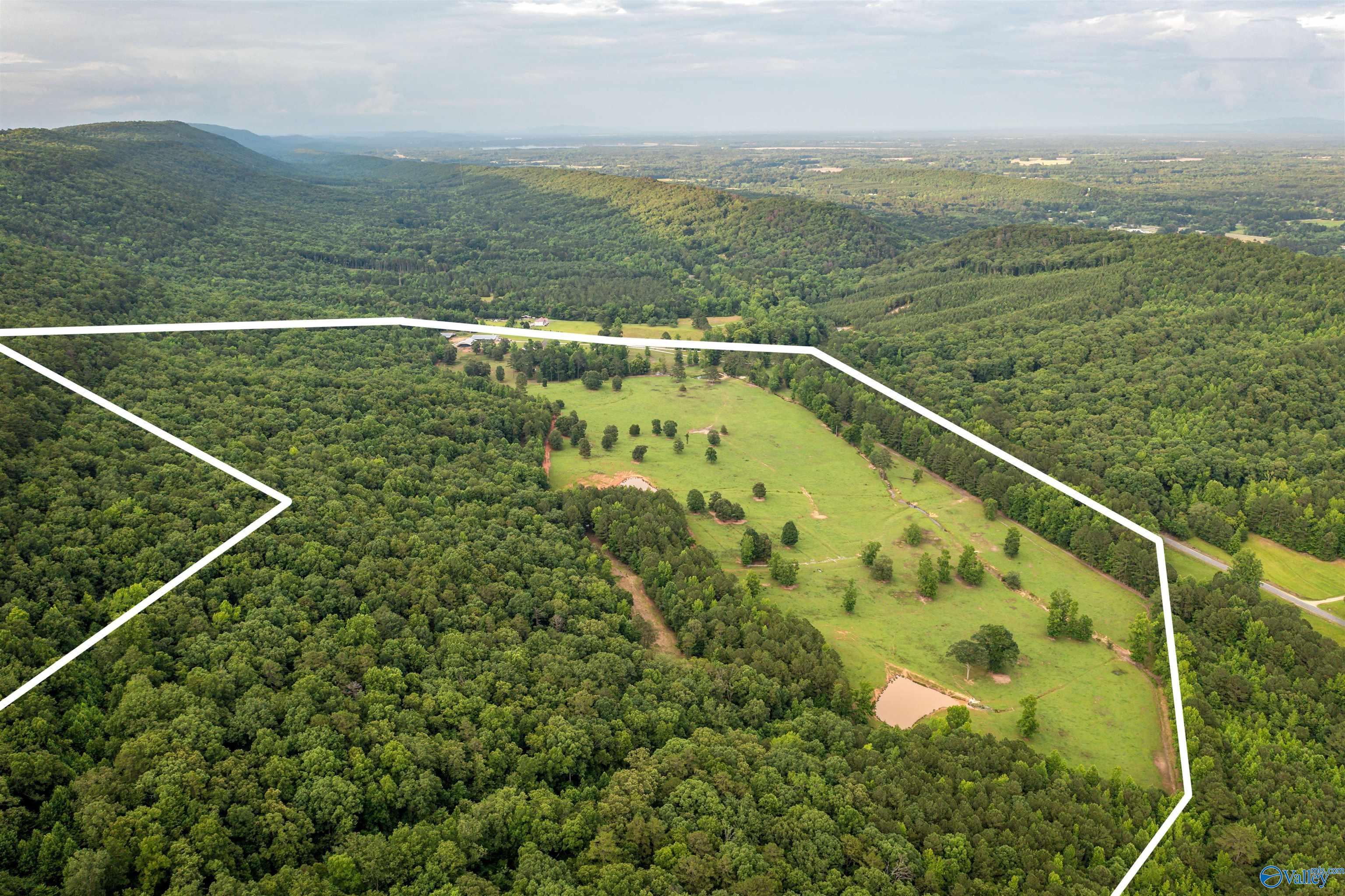 7805 Owls Hollow Road