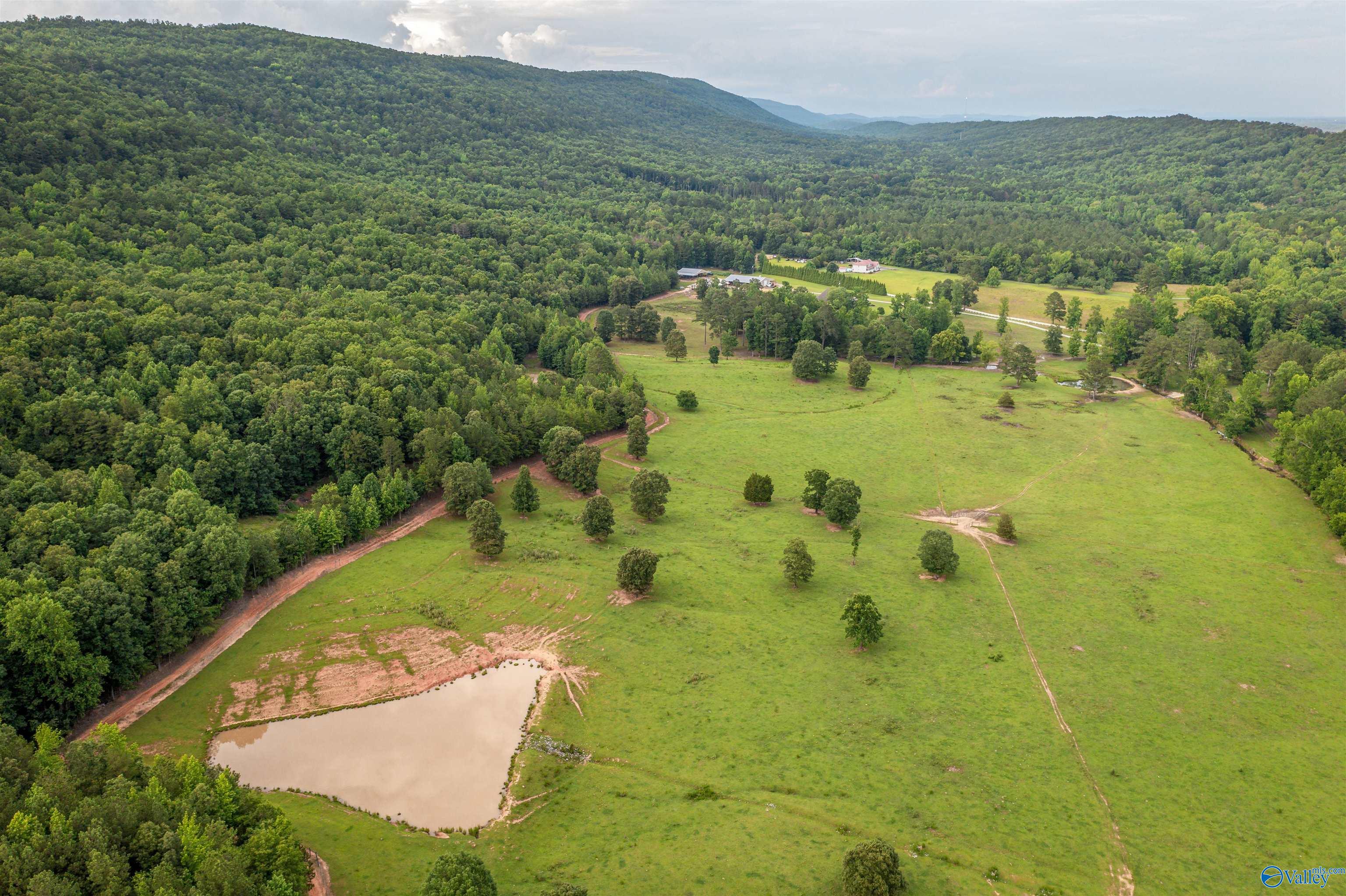 7805 Owls Hollow Road