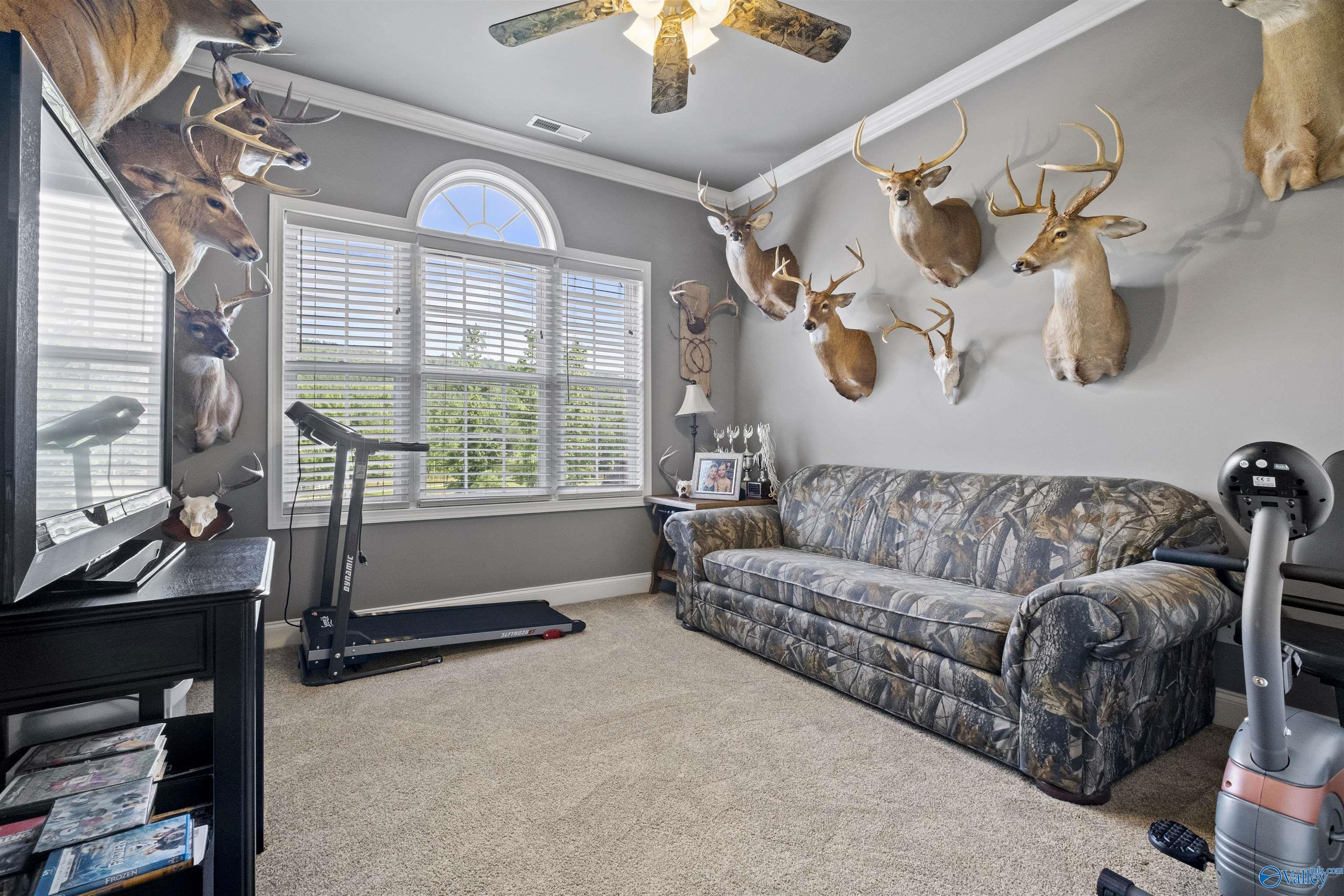 7805 Owls Hollow Road