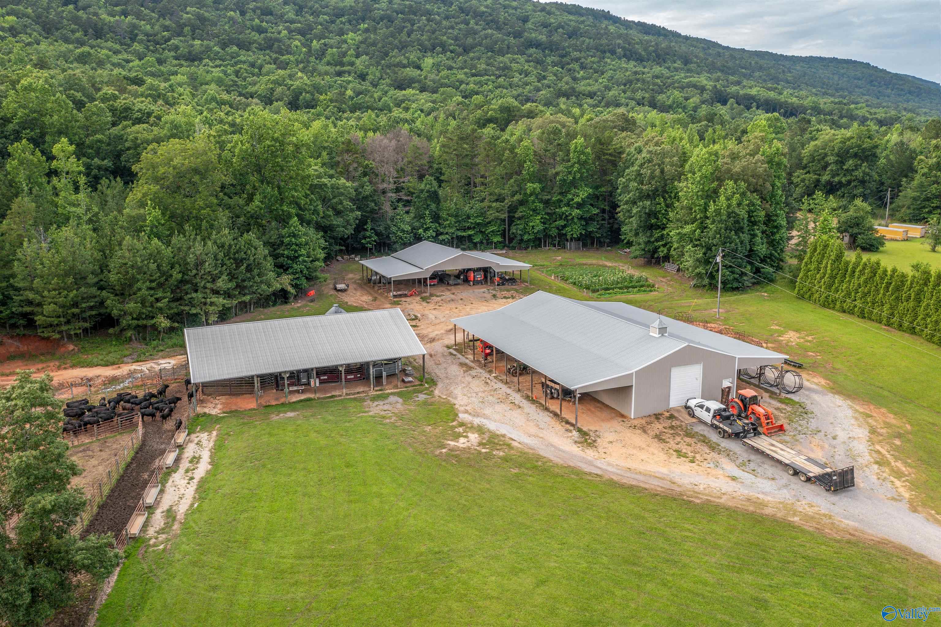 7805 Owls Hollow Road