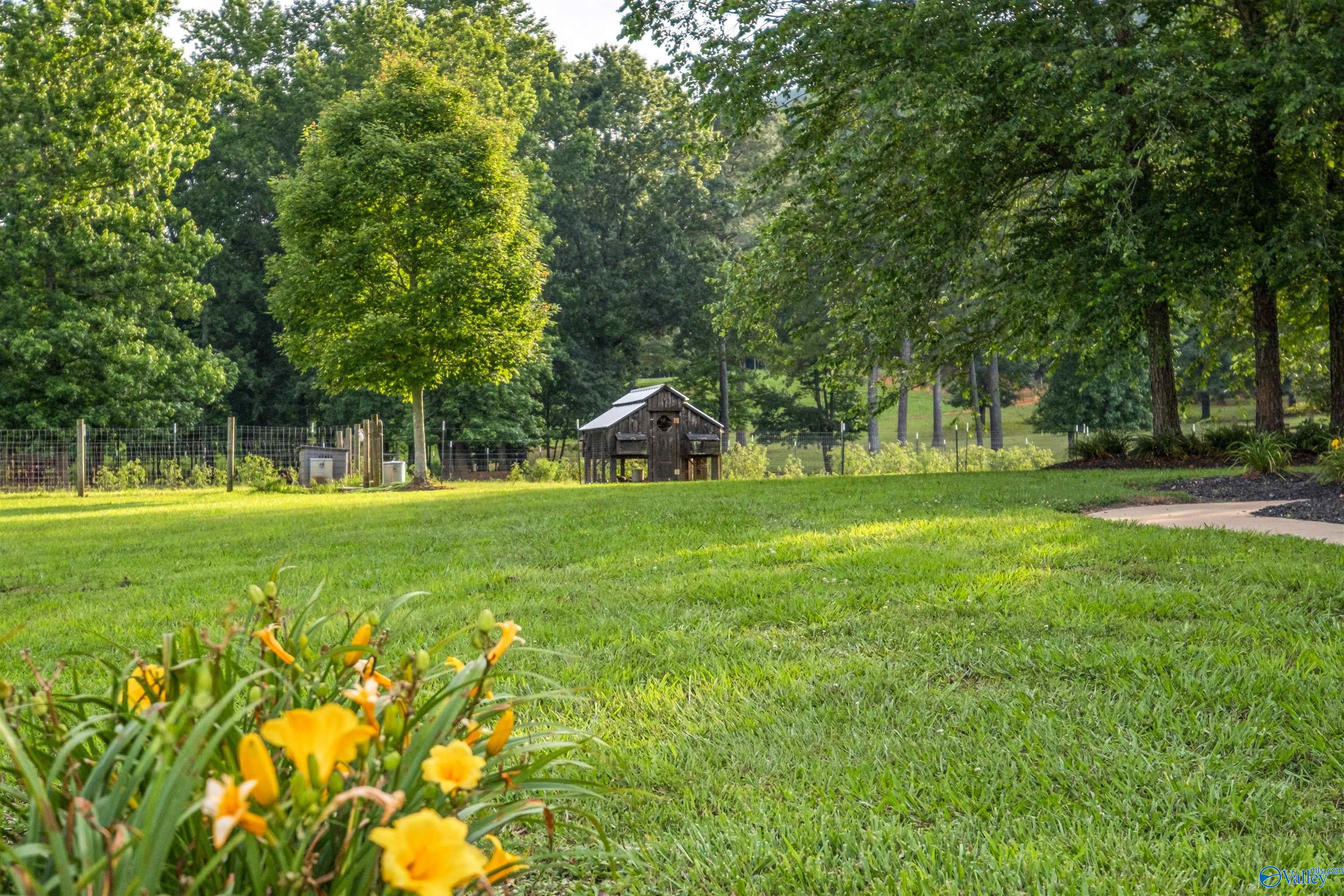 7805 Owls Hollow Road