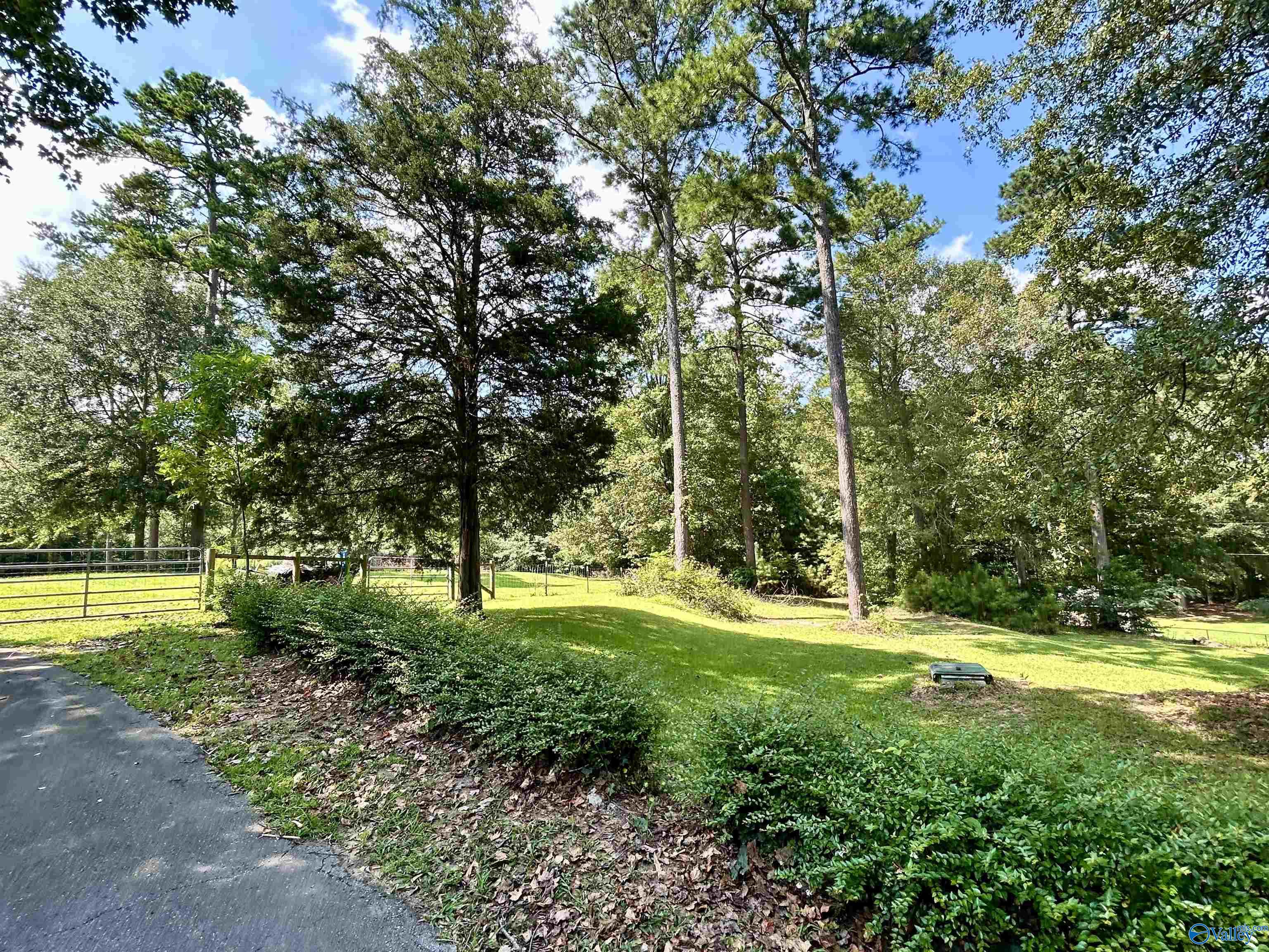 4010 Tabor Road