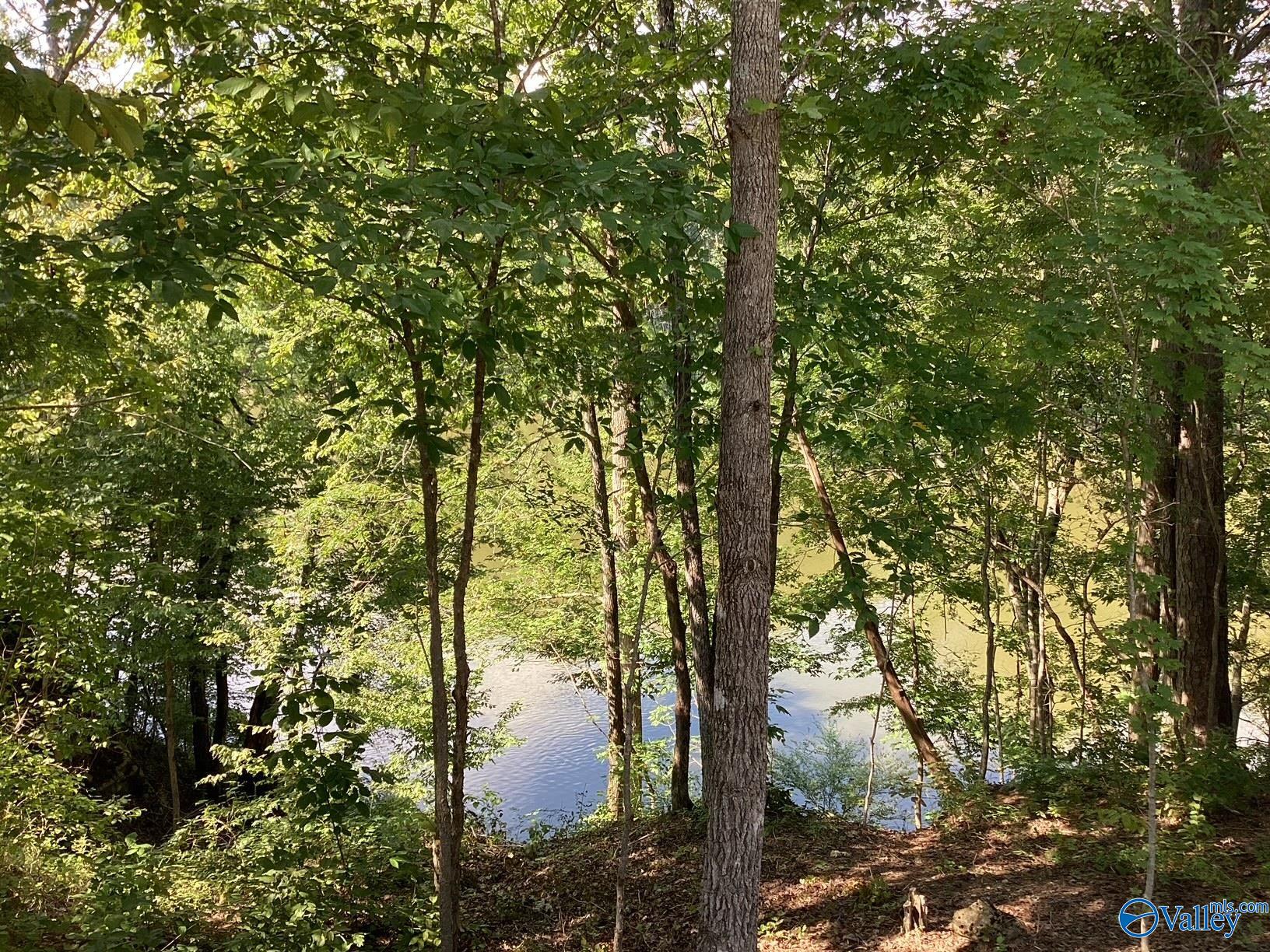 791 Tammy Trail